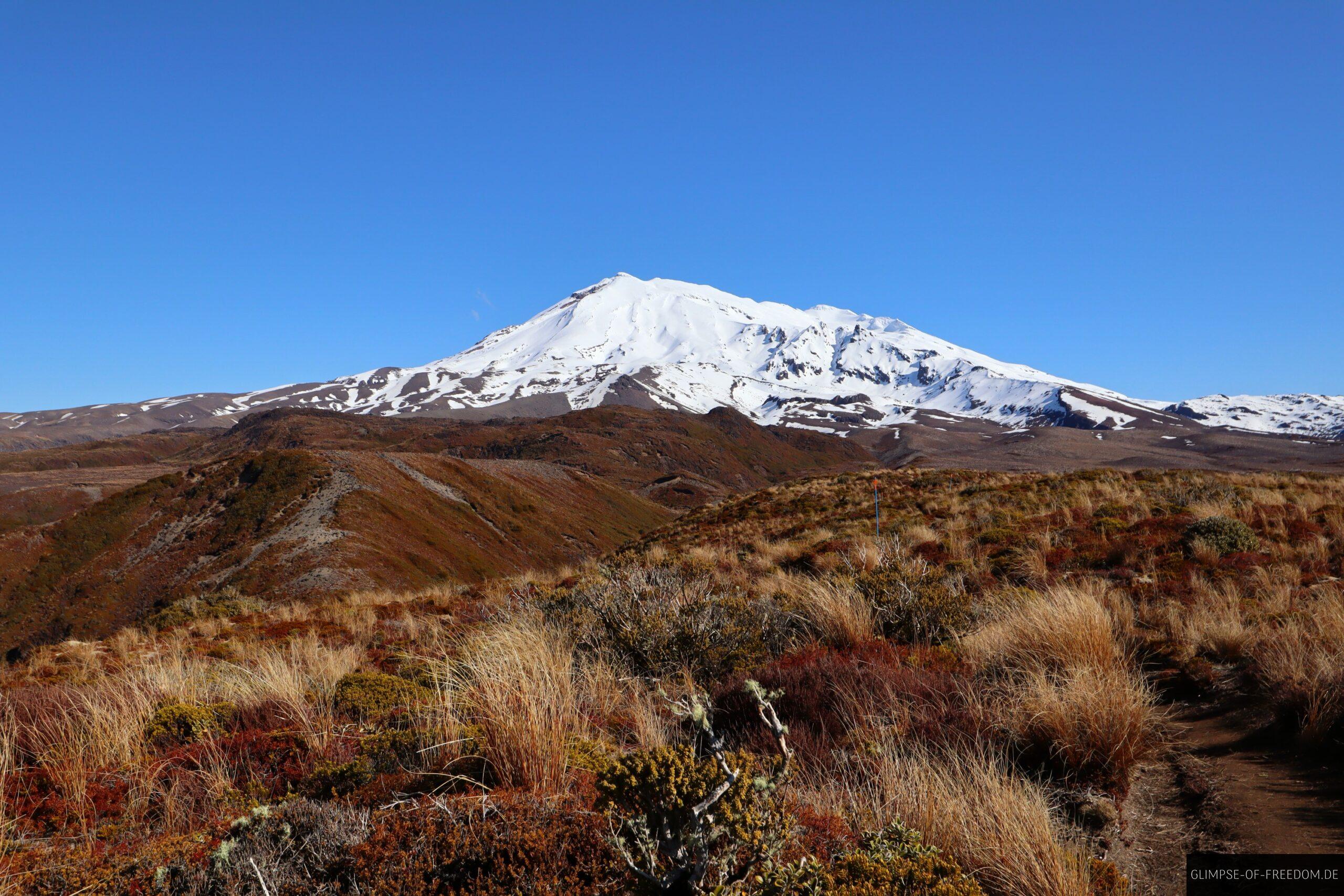 Koeniglicher Mount Ruapehu scaled Königlicher Mount Ruapehu