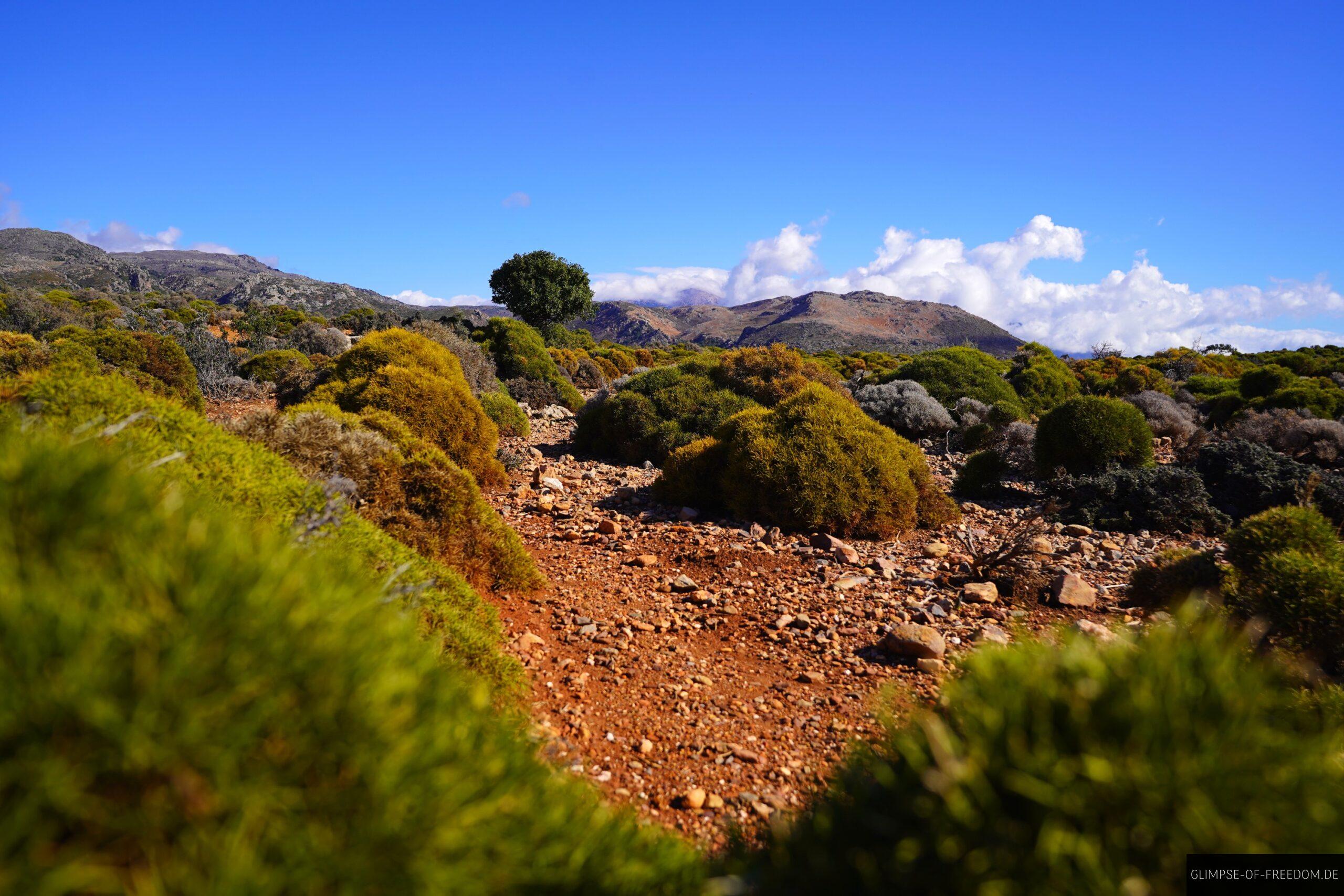 Kontrastreiche Farben in der Natur Kretas scaled Kontrastreiche Farben in der Natur Kretas