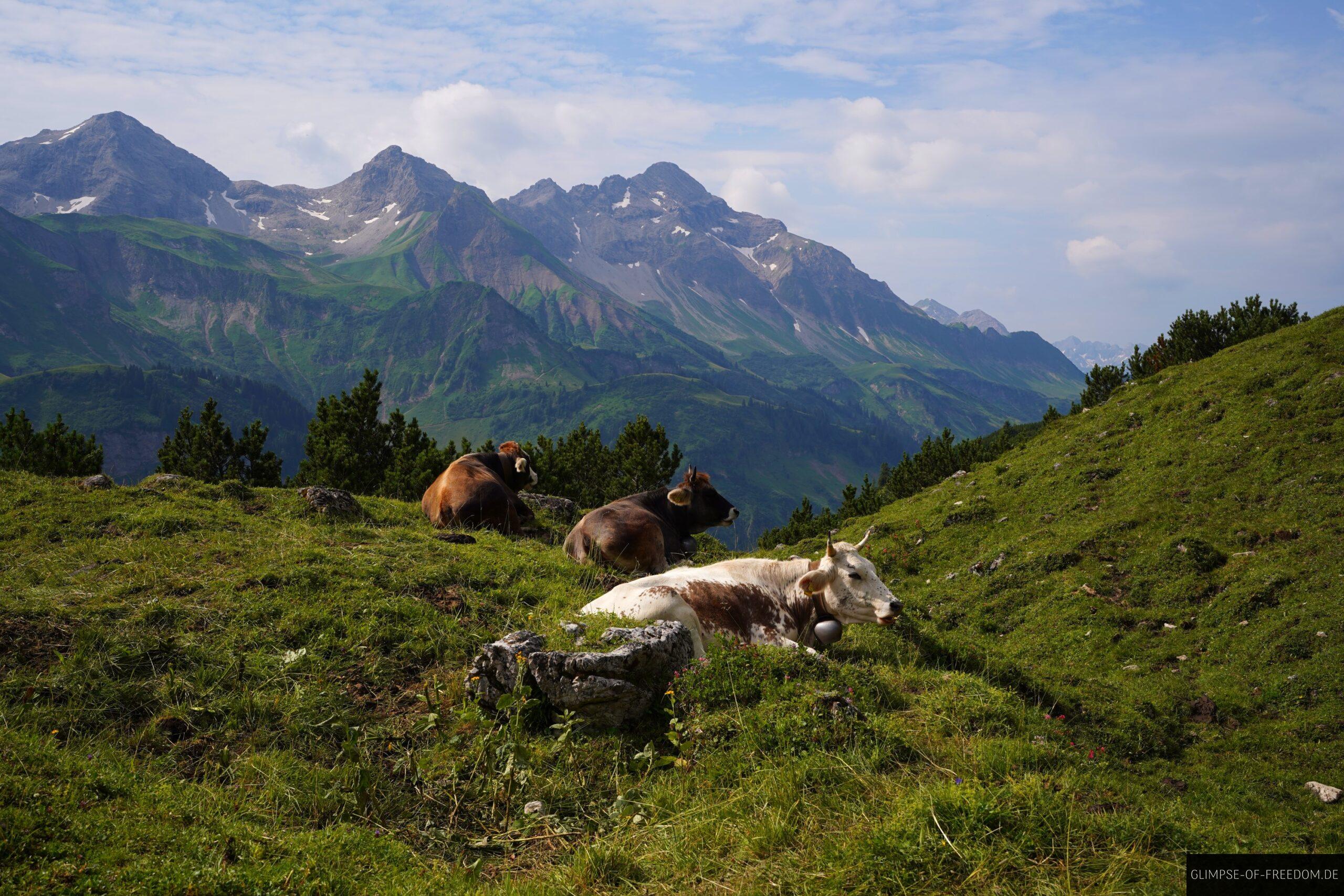 Kuehle entspannen am Guggersee scaled Kühle entspannen am Guggersee