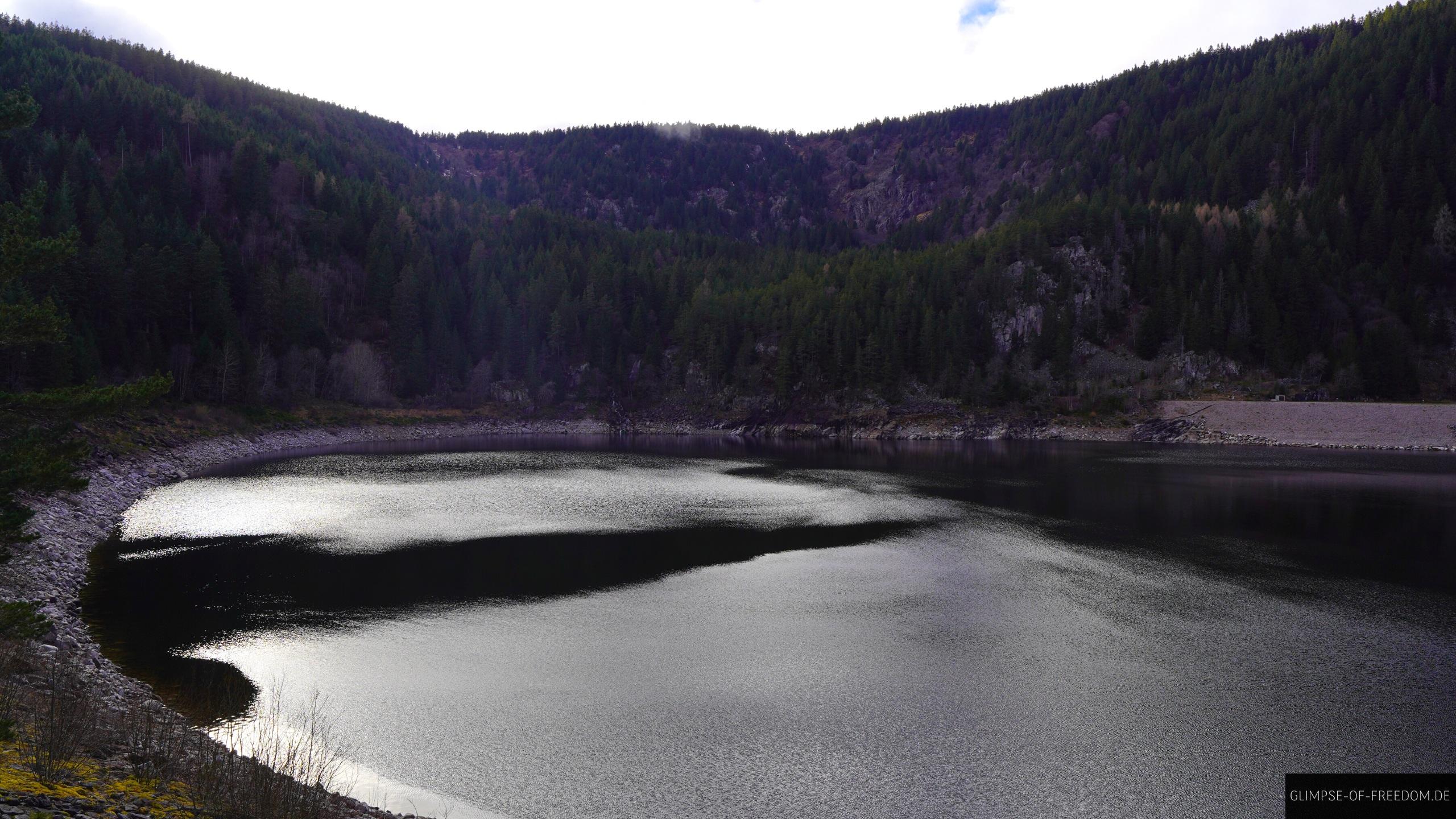 Lac Noir Vogesen Lac Noir Vogesen