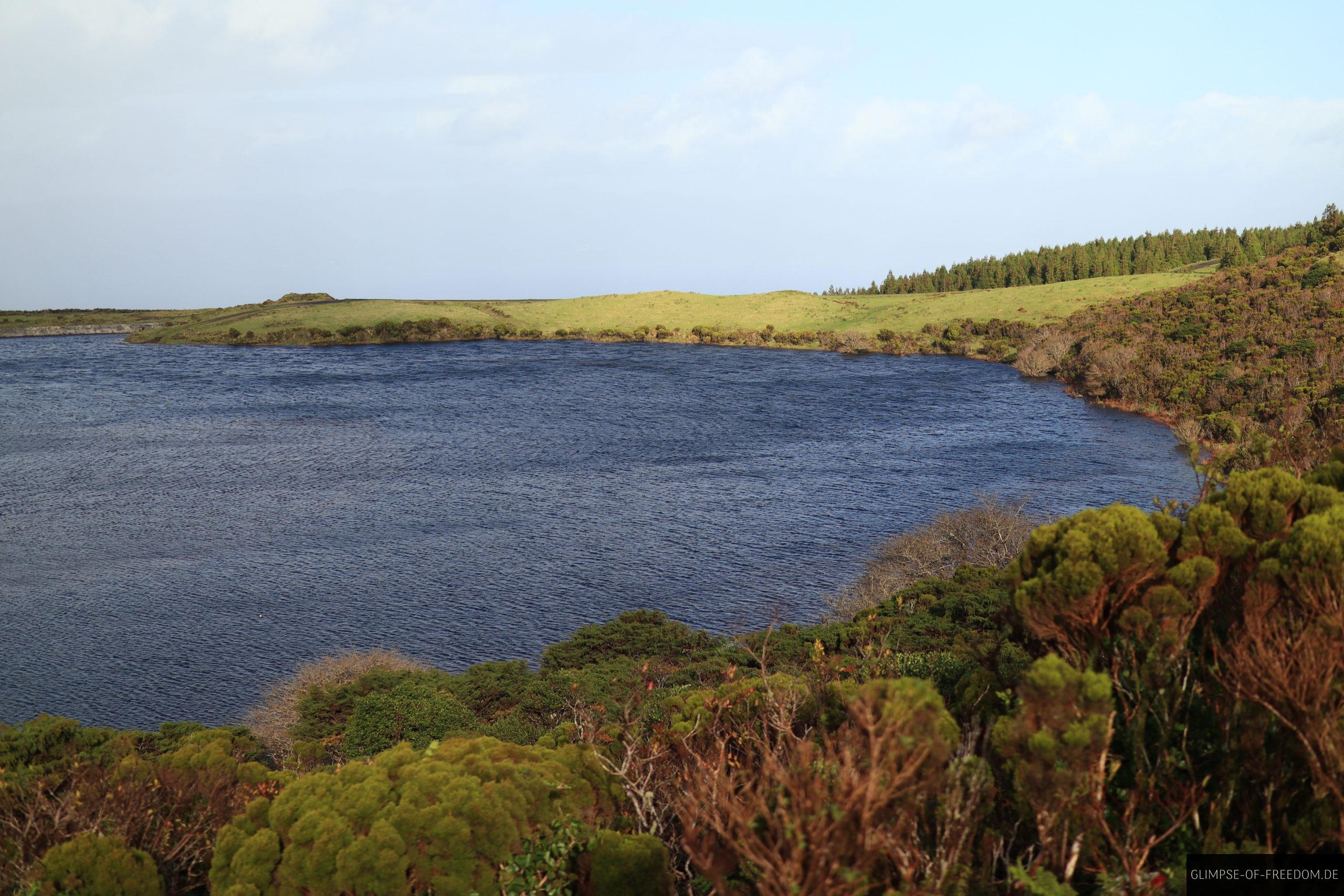 Lagoa do Caiado umgeben von interessanter Azoren Flora scaled Lagoa do Caiado umgeben von interessanter Azoren-Flora