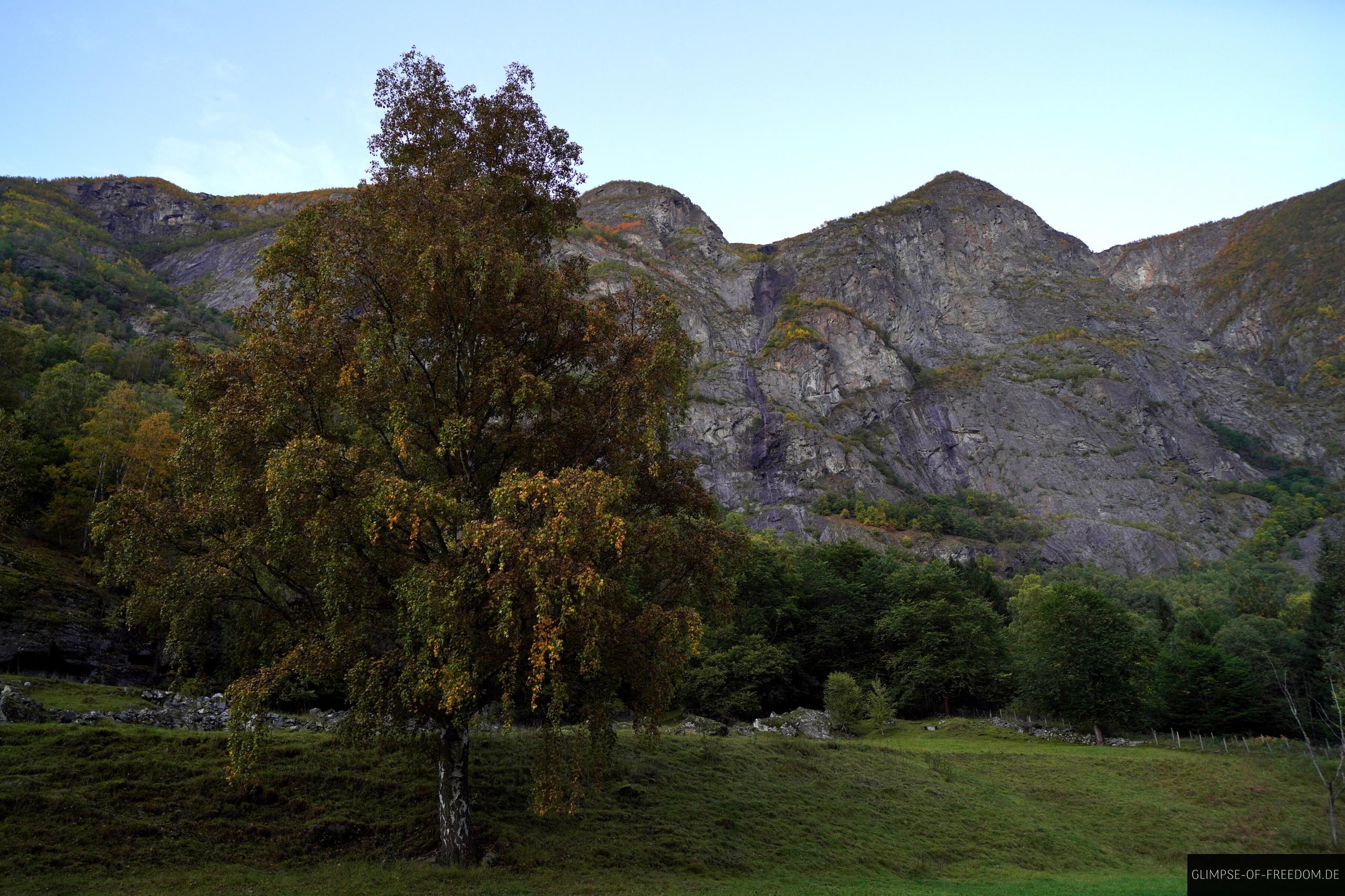 Landschaft am Ende der Aurlandsdalen Wanderung Landschaft am Ende der Aurlandsdalen Wanderung