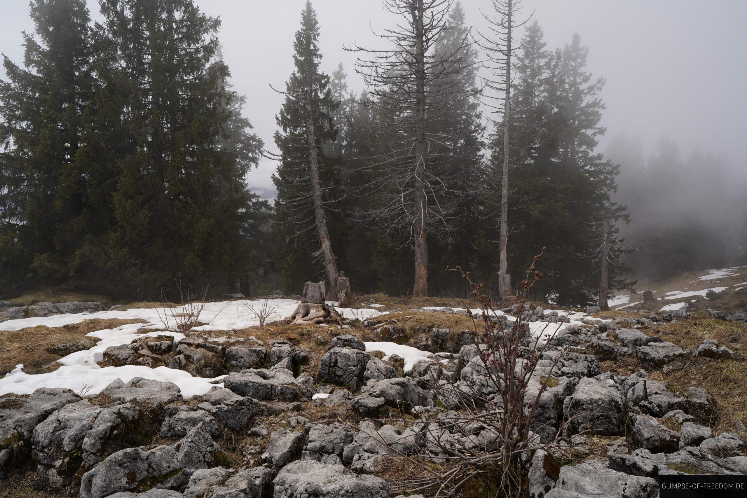 Landschaft auf dem Besler Gipfel scaled Landschaft auf dem Besler Gipfel