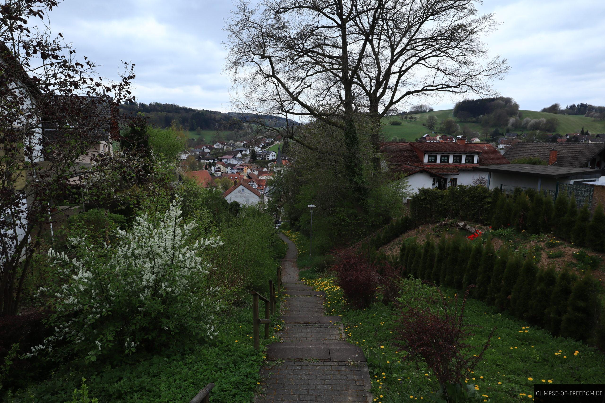 Lange Treppe in den Ort Wald-Michelbach