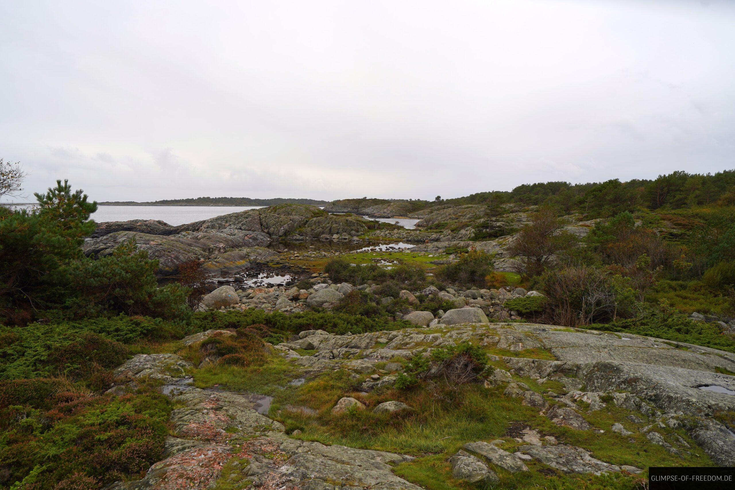 Lebendige Natur im Kalvehageneset Gebiet scaled Lebendige Natur im Kalvehageneset Gebiet
