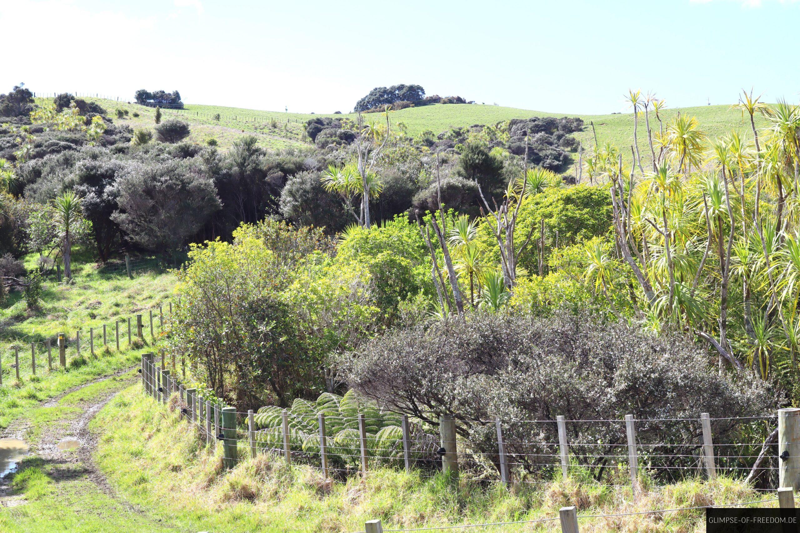 Lebendige Natur im Shakespeare Regional Park scaled Lebendige Natur im Shakespeare Regional Park
