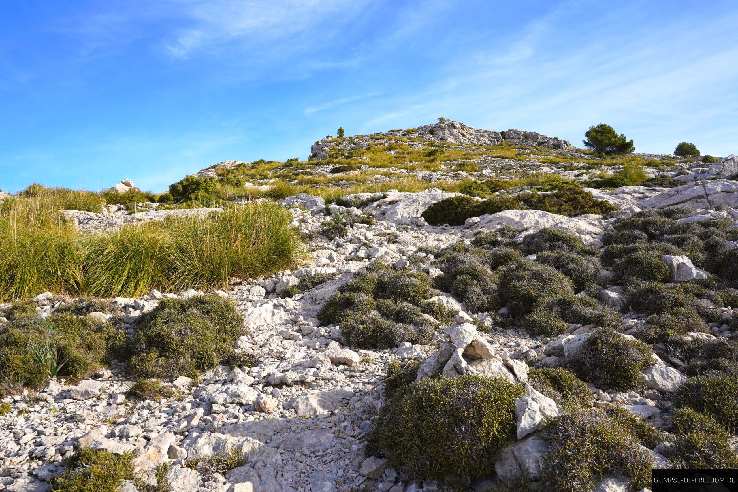 Letzter Abschnitt bis zum Gipfel des Puig des Tossal Verds scaled Letzter Abschnitt bis zum Gipfel des Puig des Tossal Verds