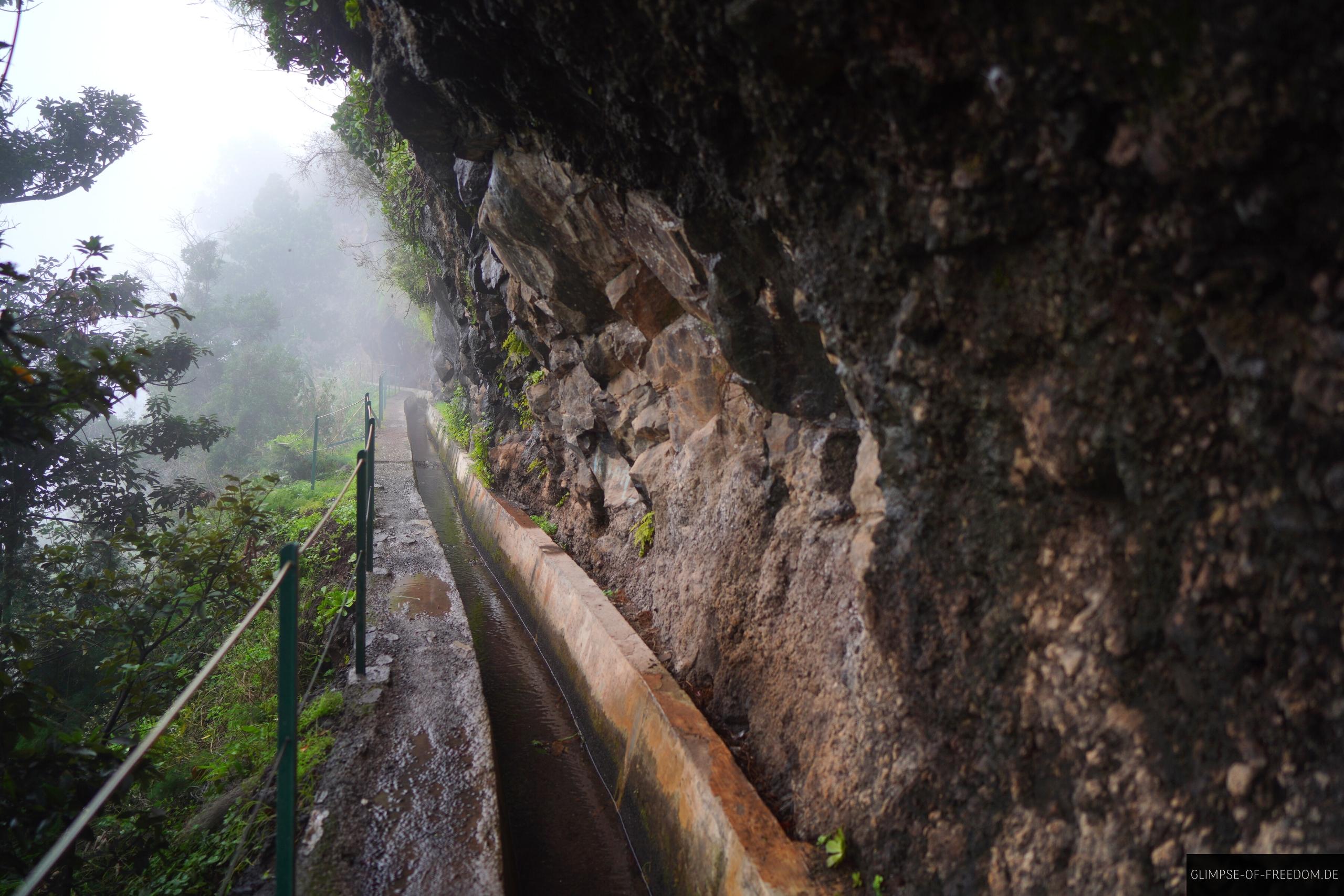 Levada Nova am Felsen Levada Nova am Felsen
