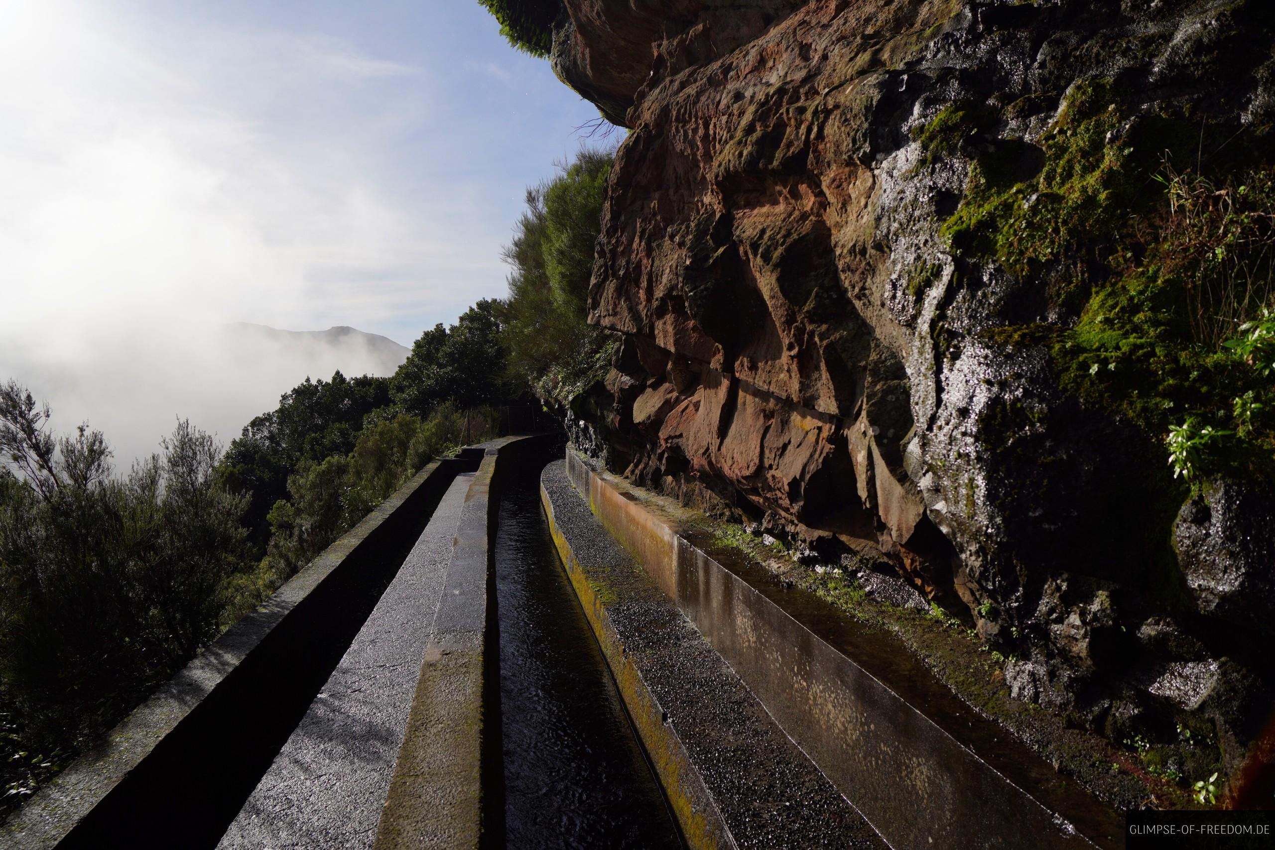 Levada do Norte an Felswand Levada do Norte an Felswand