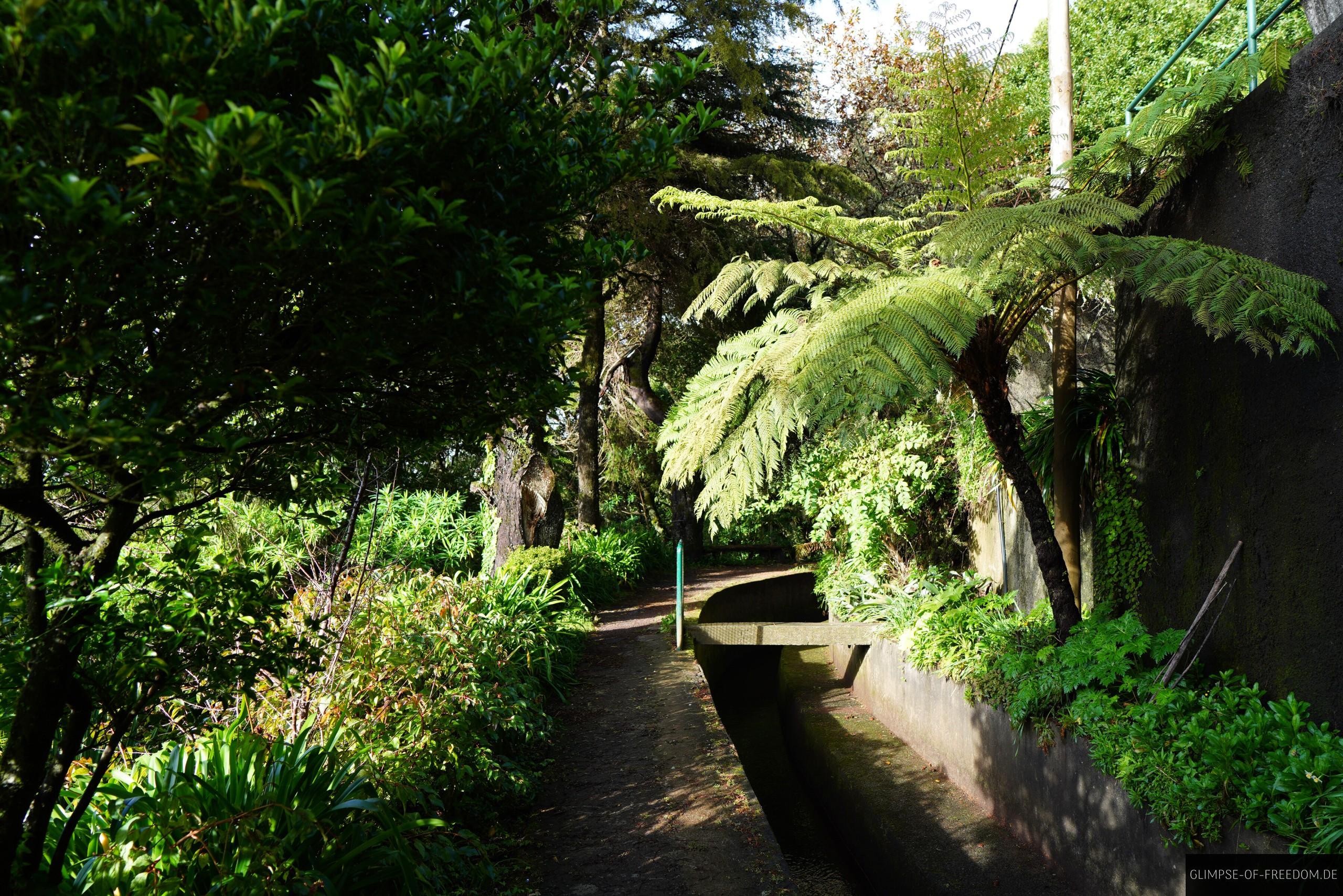 Levada do Norte Levada do Norte
