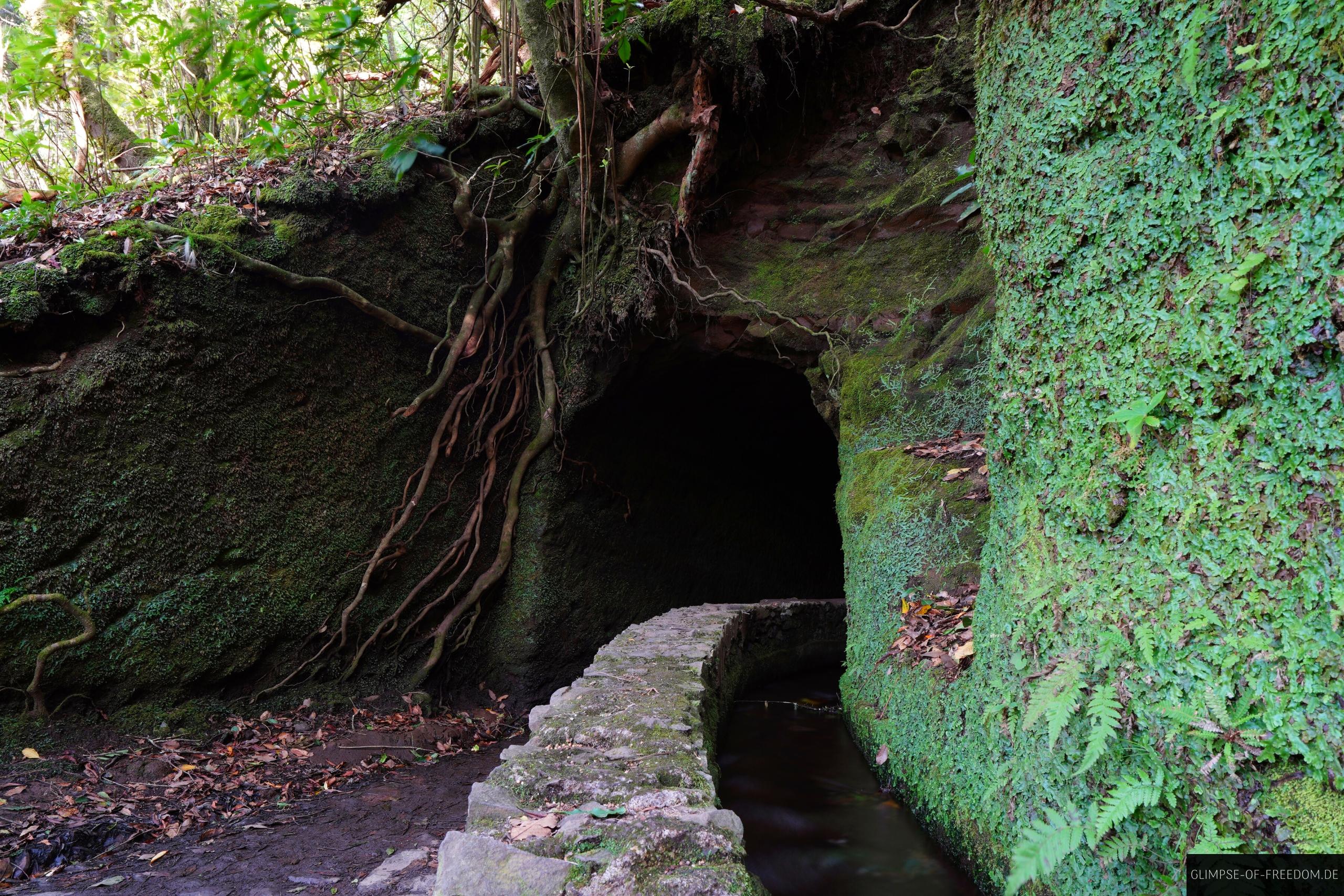 Levada fuehrt durch den Tunnel Levada führt durch den Tunnel