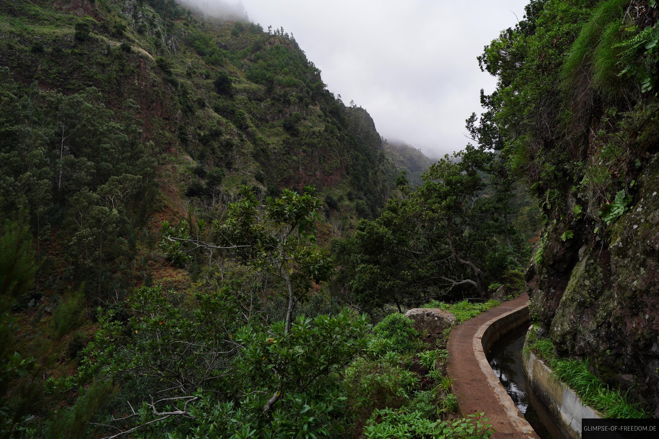 Levada im Dschungel Levada im Dschungel