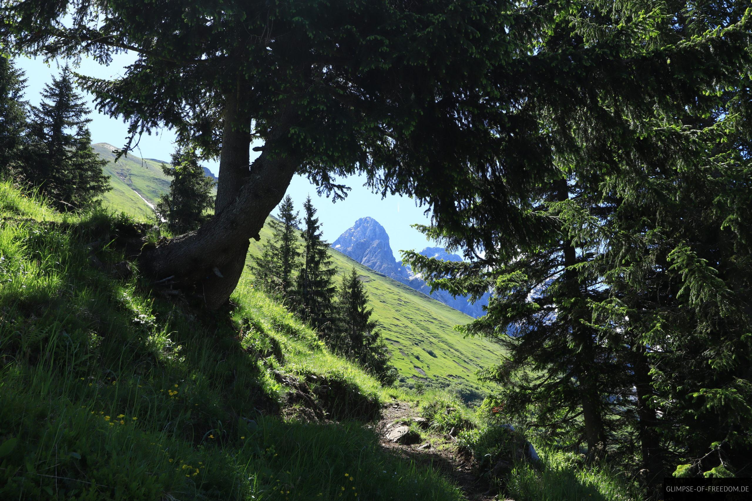 Licht und Schatten mit Blick auf die Berge am Wildengundkopf scaled Licht und Schatten mit Blick auf die Berge am Wildengundkopf