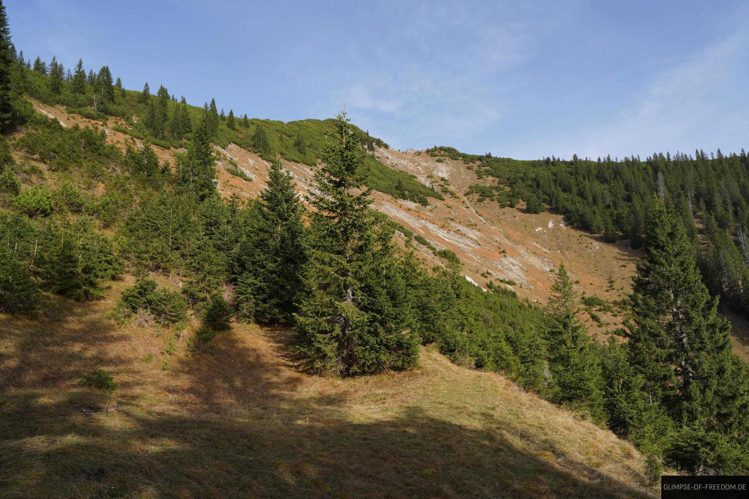 Lichtung und Berghang Lichtung und Berghang