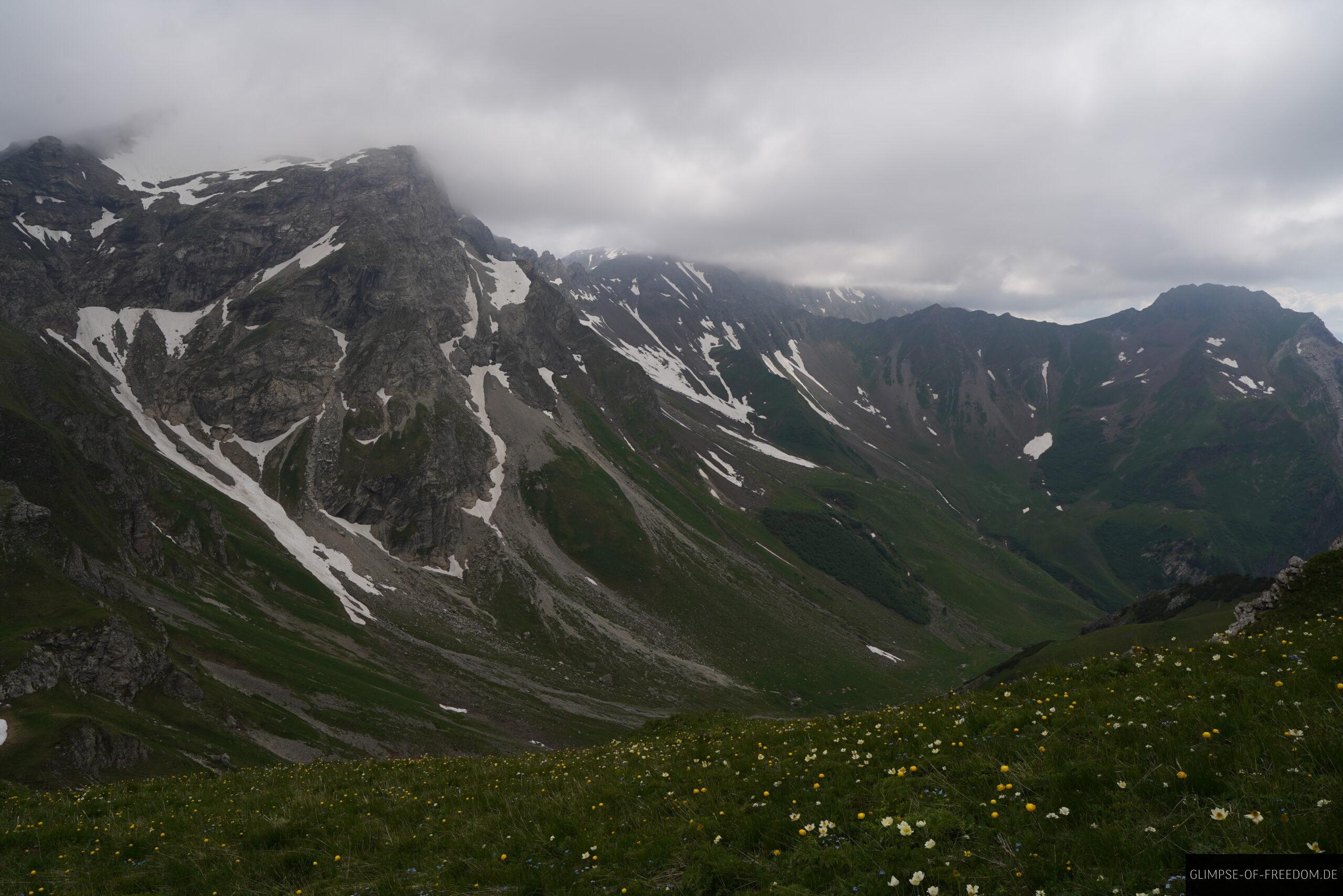 Liechtensteiner Berge mit Blumenwiese im Vordergrun scaled Liechtensteiner Berge mit Blumenwiese im Vordergrun