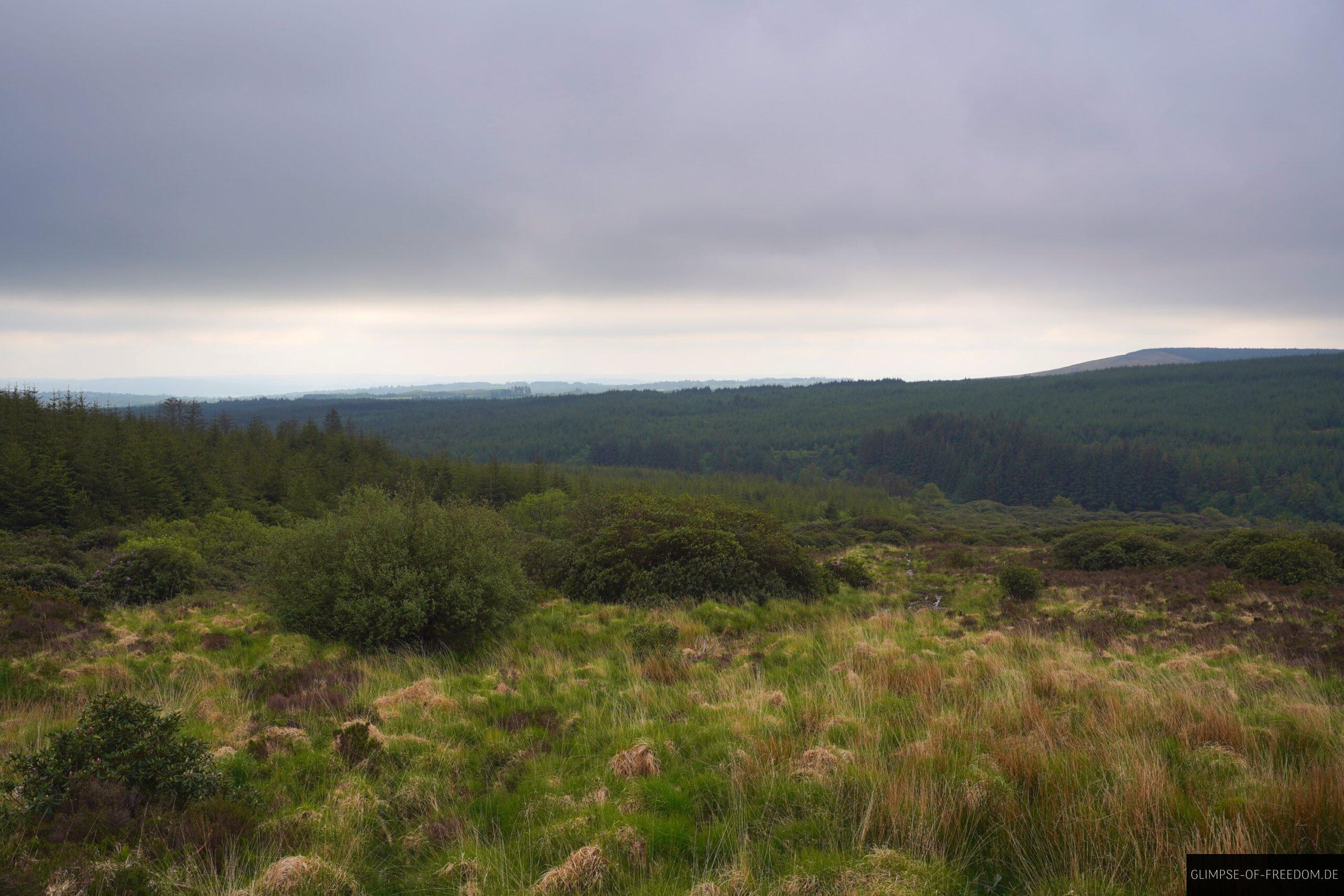 Lismore Loop Nature scaled Lismore Loop Nature