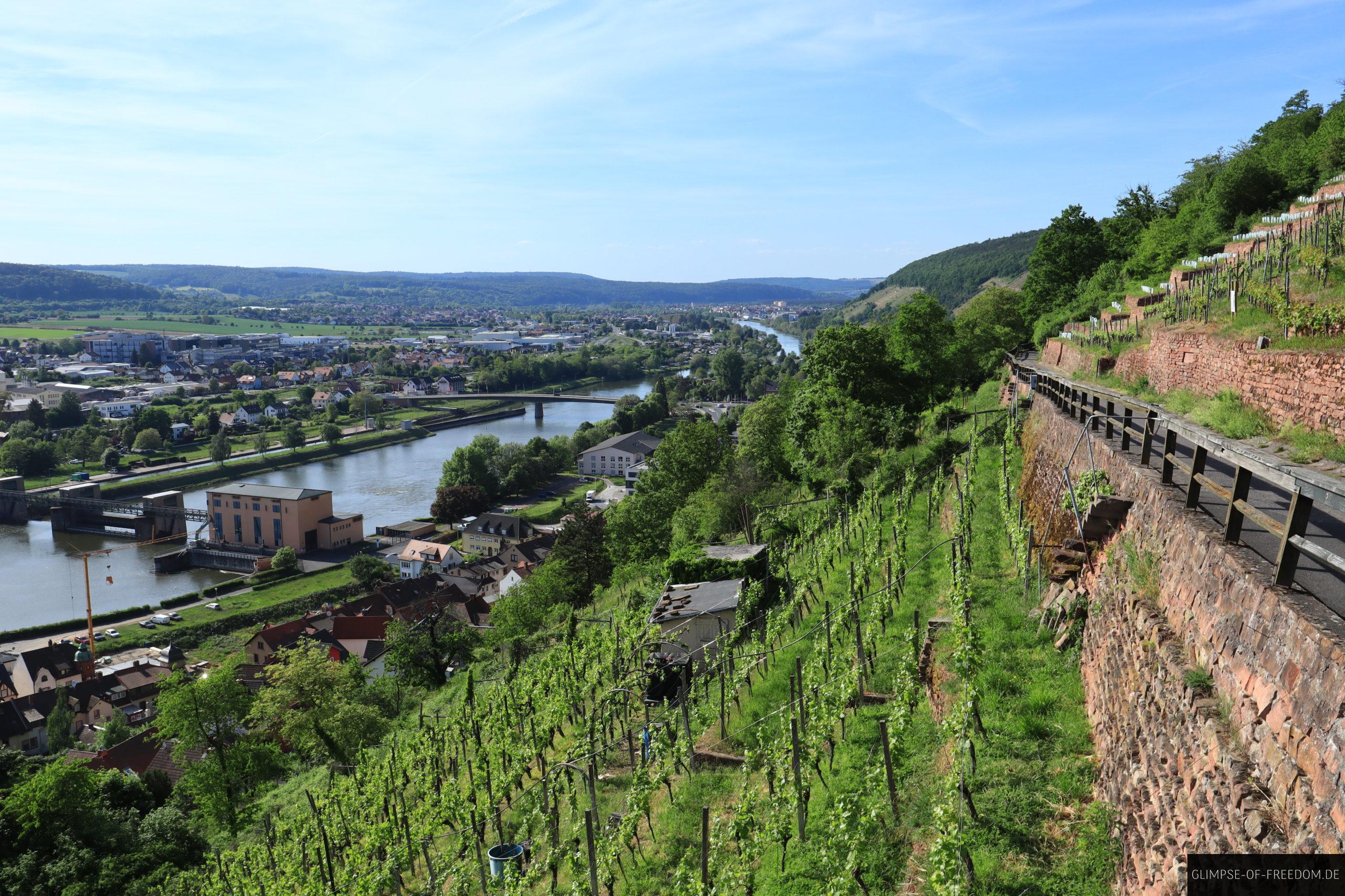 Main und Weinberge scaled Main und Weinberge