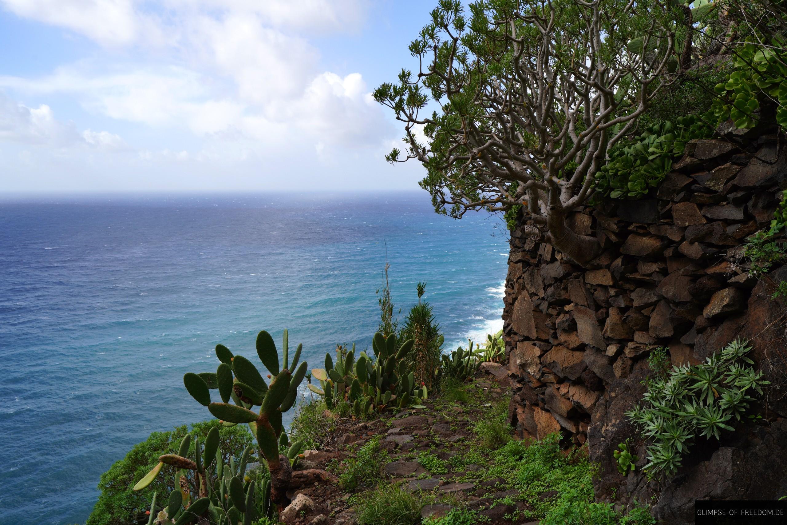 Mauer und Meer in Madeira Mauer und Meer in Madeira