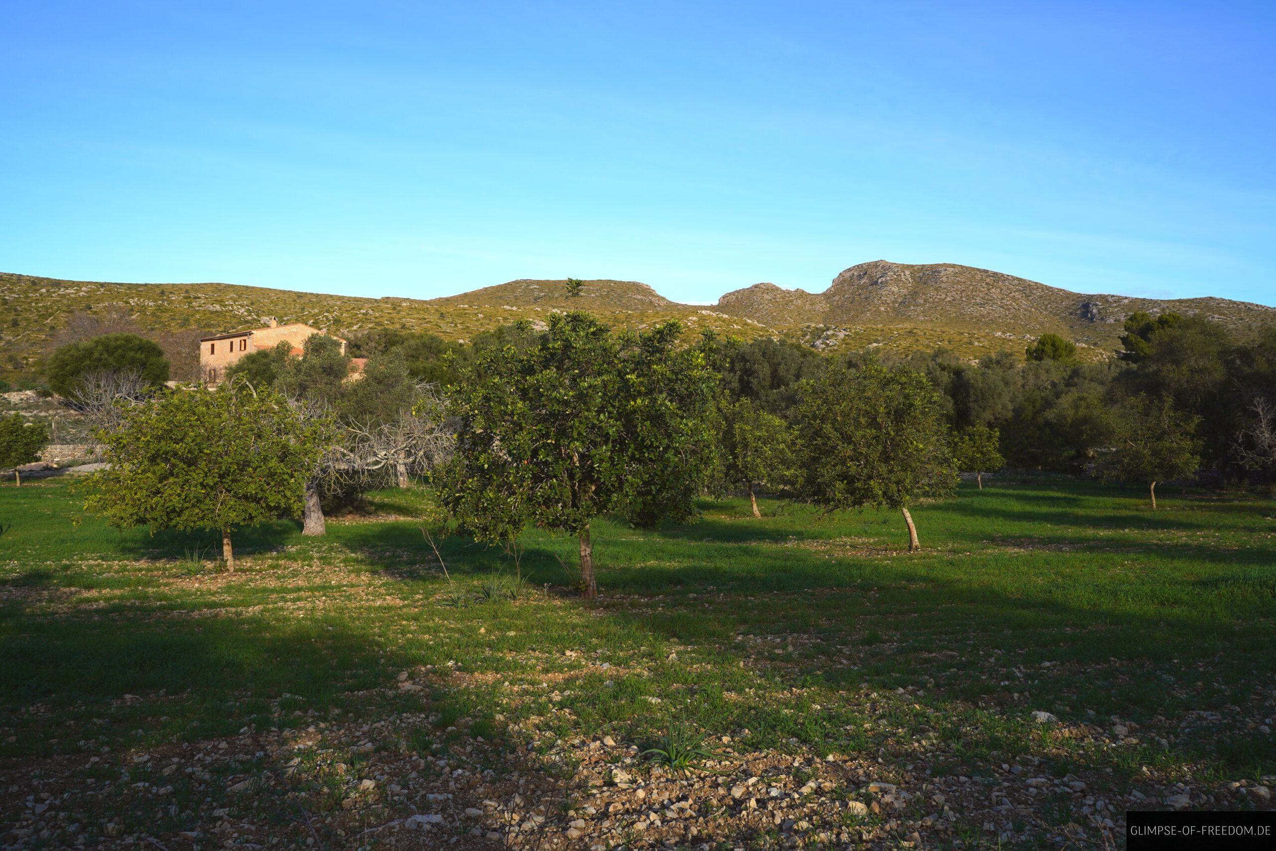 Mediterrane Umgebung am Parc Natural Mallorca scaled Mediterrane Umgebung am Parc Natural Mallorca
