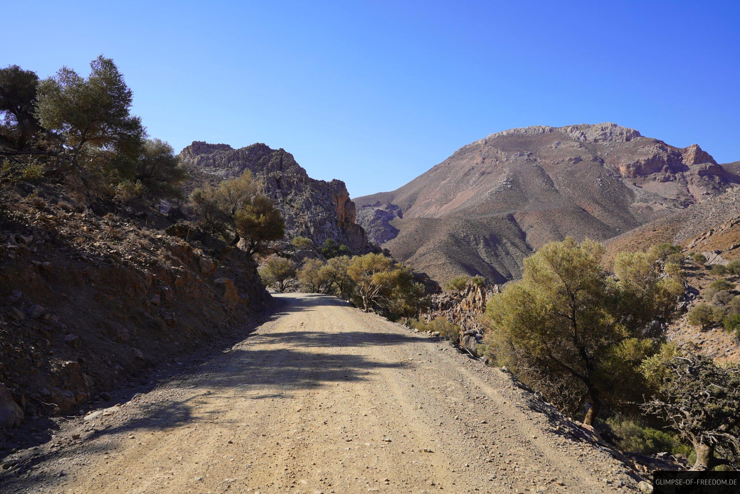 Mediterrane Vegetation an der Tripiti Schlucht scaled Mediterrane Vegetation an der Tripiti Schlucht