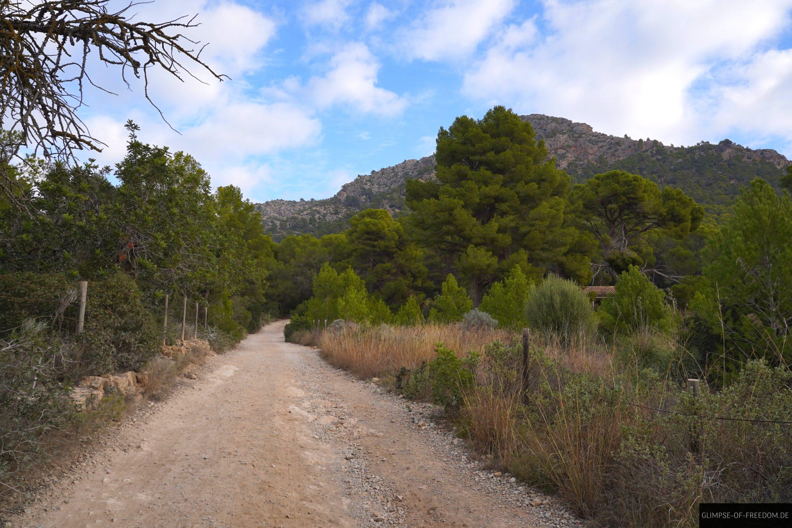 Mediterraner Wanderweg bei Sant Elm scaled Mediterraner Wanderweg bei Sant Elm