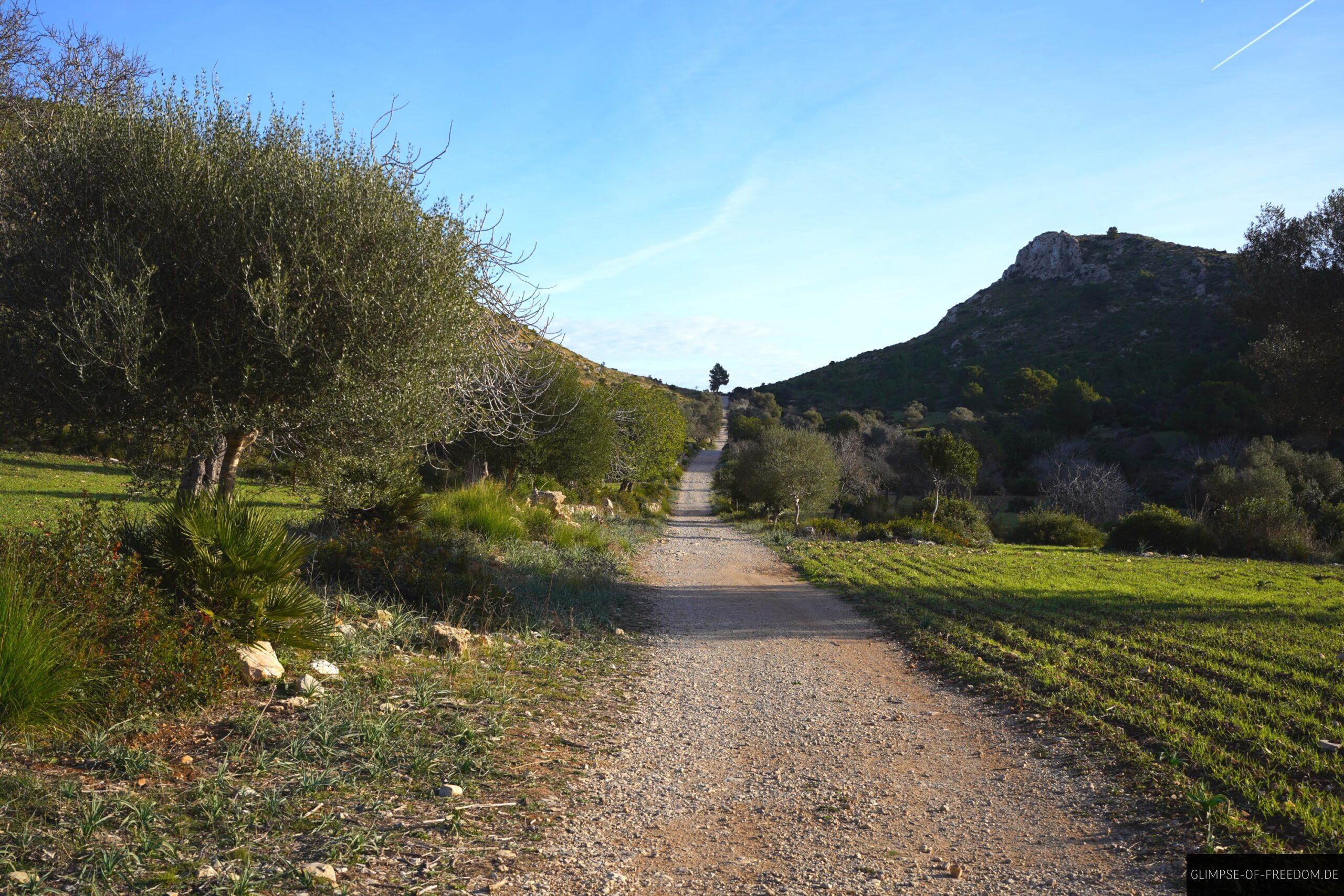 Mediterraner Weg in den Parc Natural de la Peninsula de Llevant scaled Mediterraner Weg in den Parc Natural de la Peninsula de Llevant