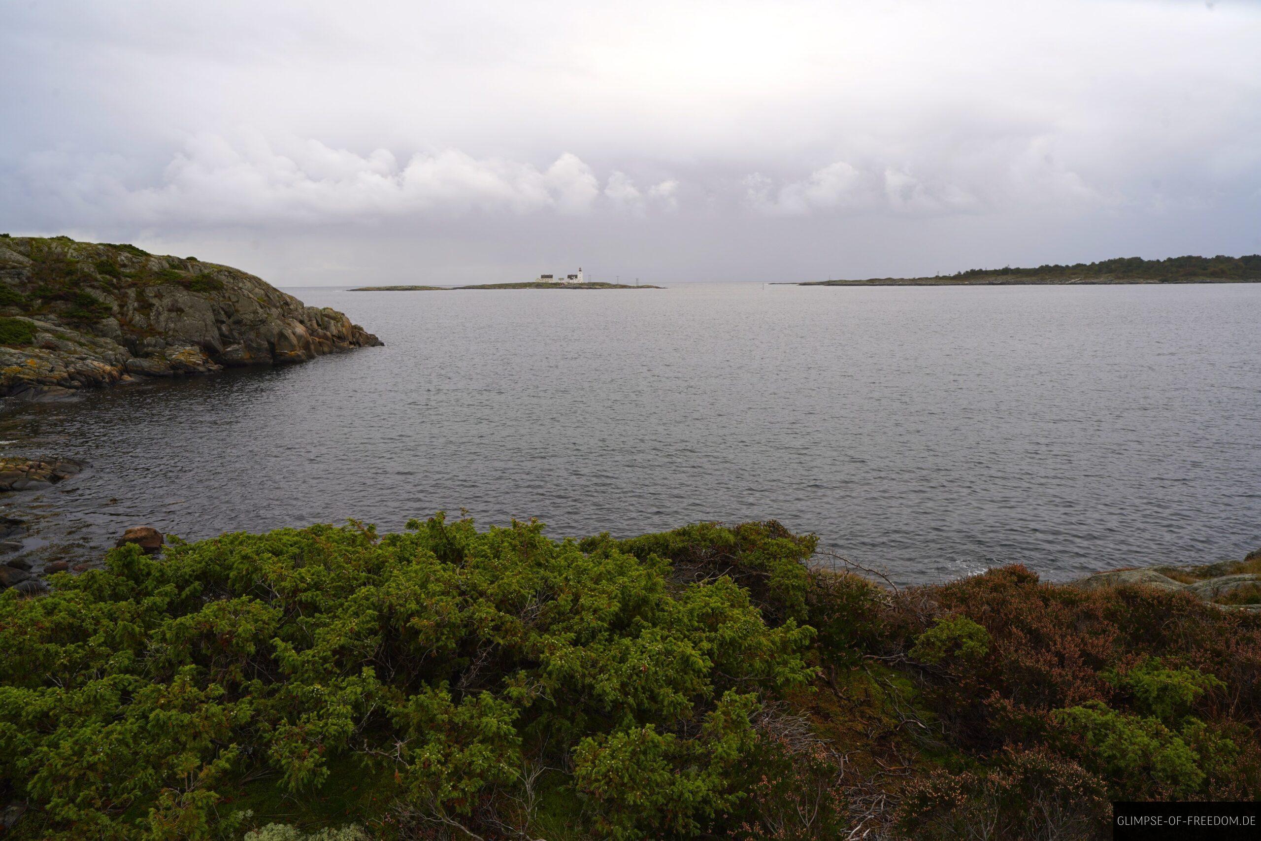 Meerblick im Kalvehageneset Naturerholungsgebiet scaled Meerblick im Kalvehageneset Naturerholungsgebiet