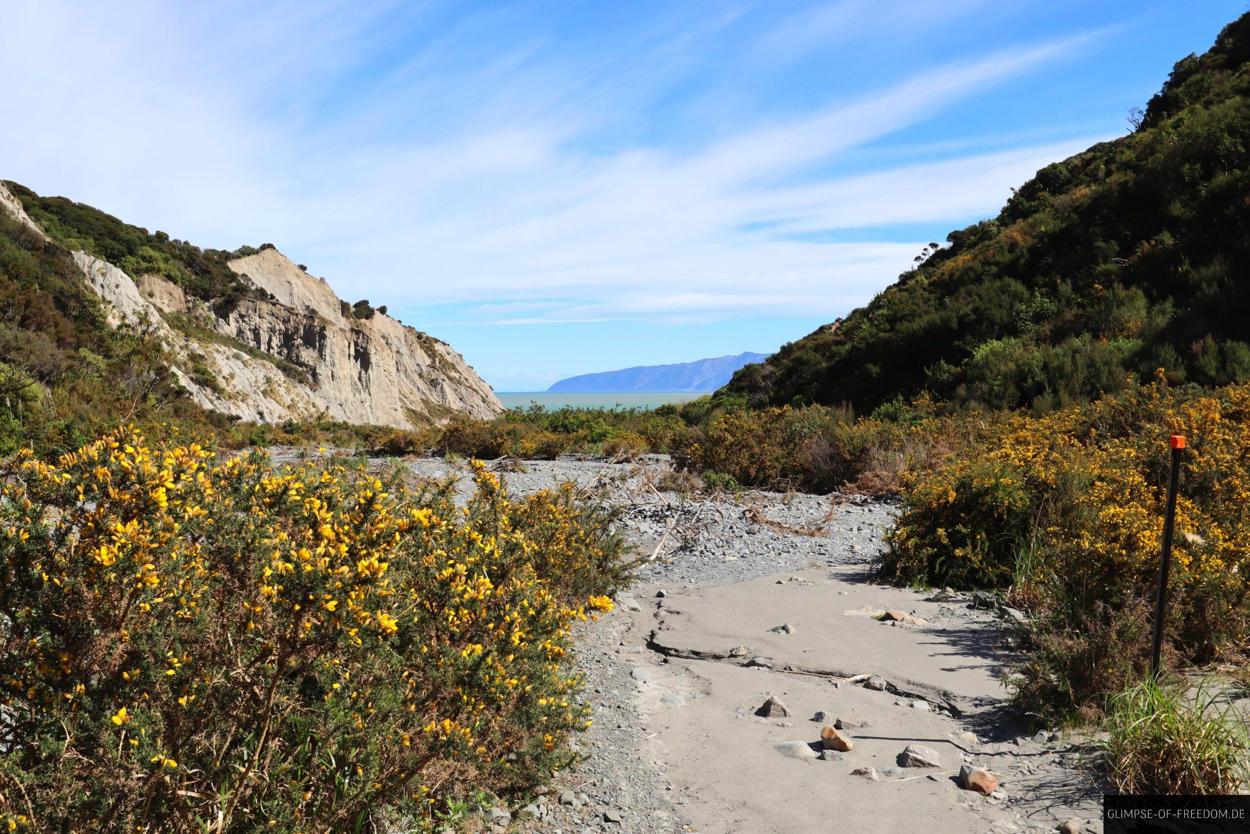 Meerblick vom Putangirua Scenic Reserve scaled Meerblick vom Putangirua Scenic Reserve