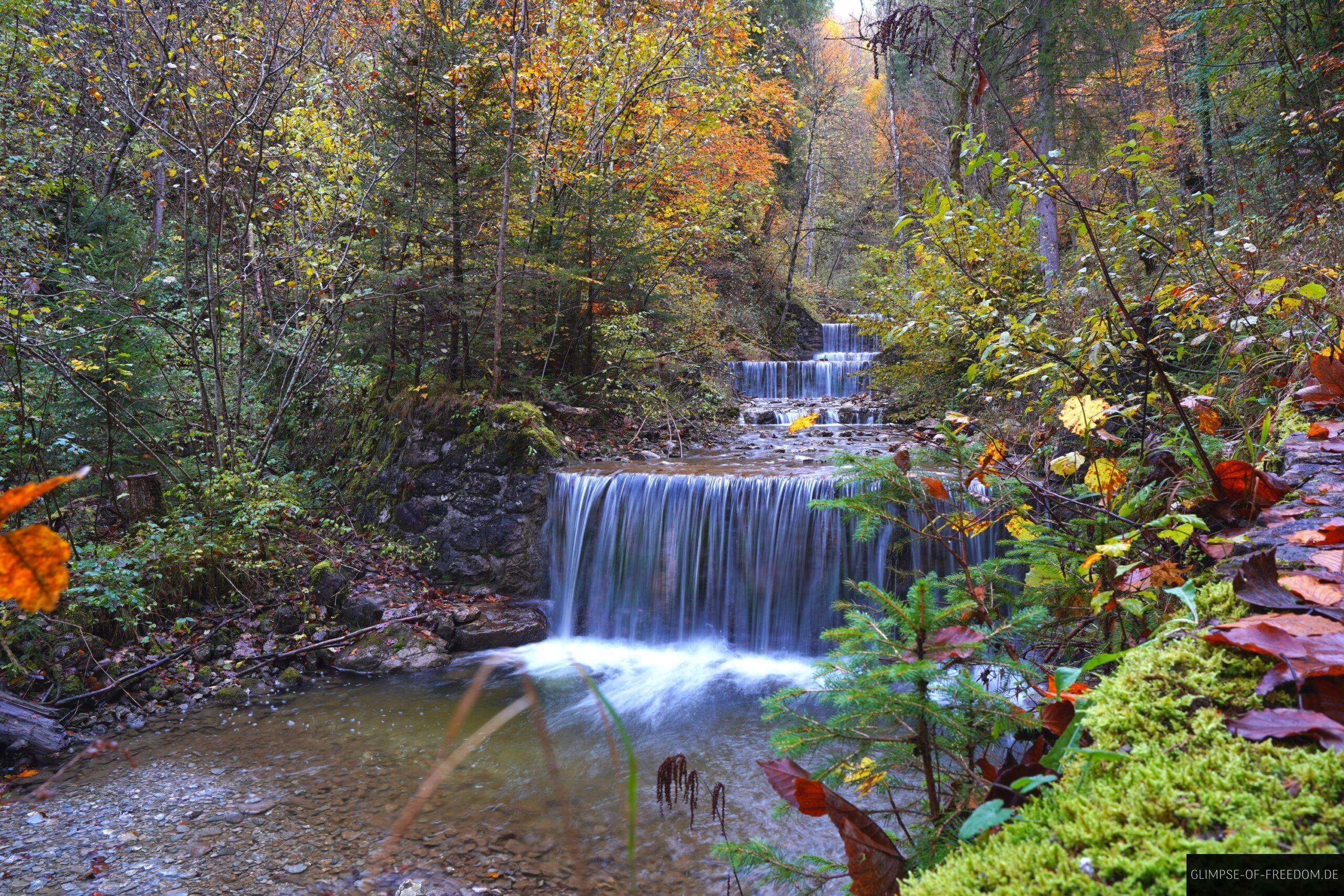 Mehrstufige Wasserfaelle im Wald scaled Mehrstufige Wasserfälle im Wald