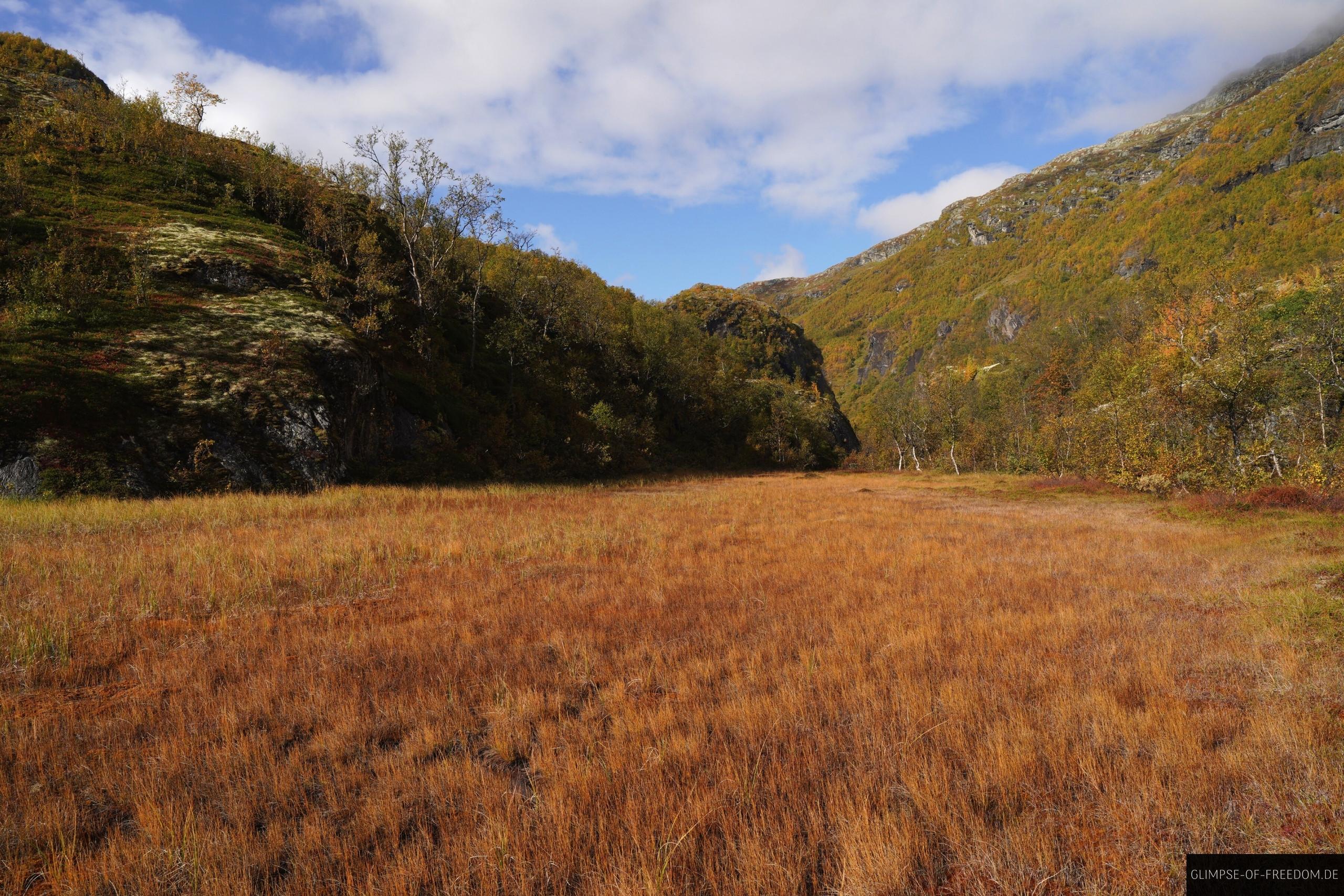 Moorige Landschaft im Aurlandsdalen Valley Moorige Landschaft im Aurlandsdalen Valley