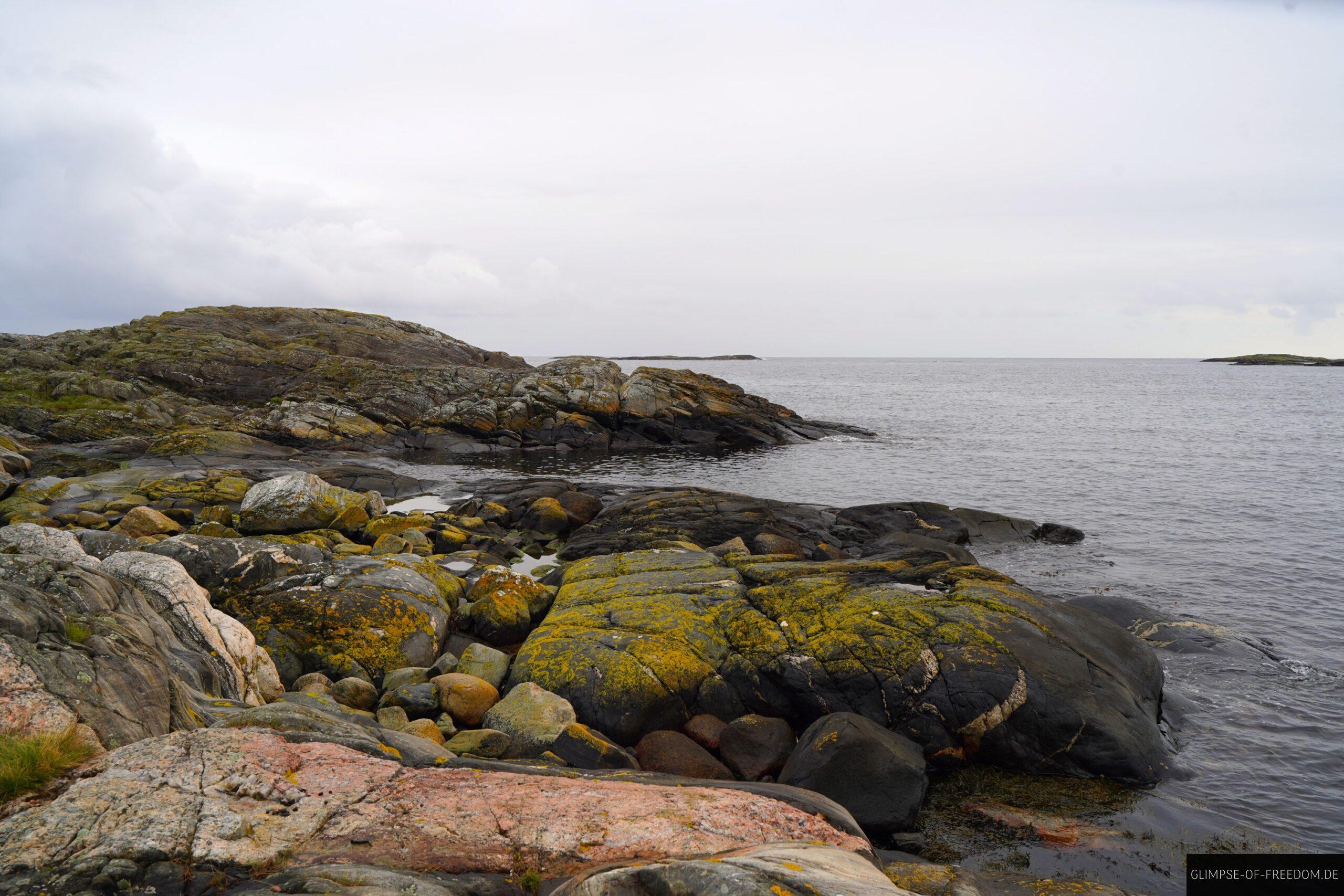 Moosbewachsene Steinlandschaft scaled Moosbewachsene Steinlandschaft