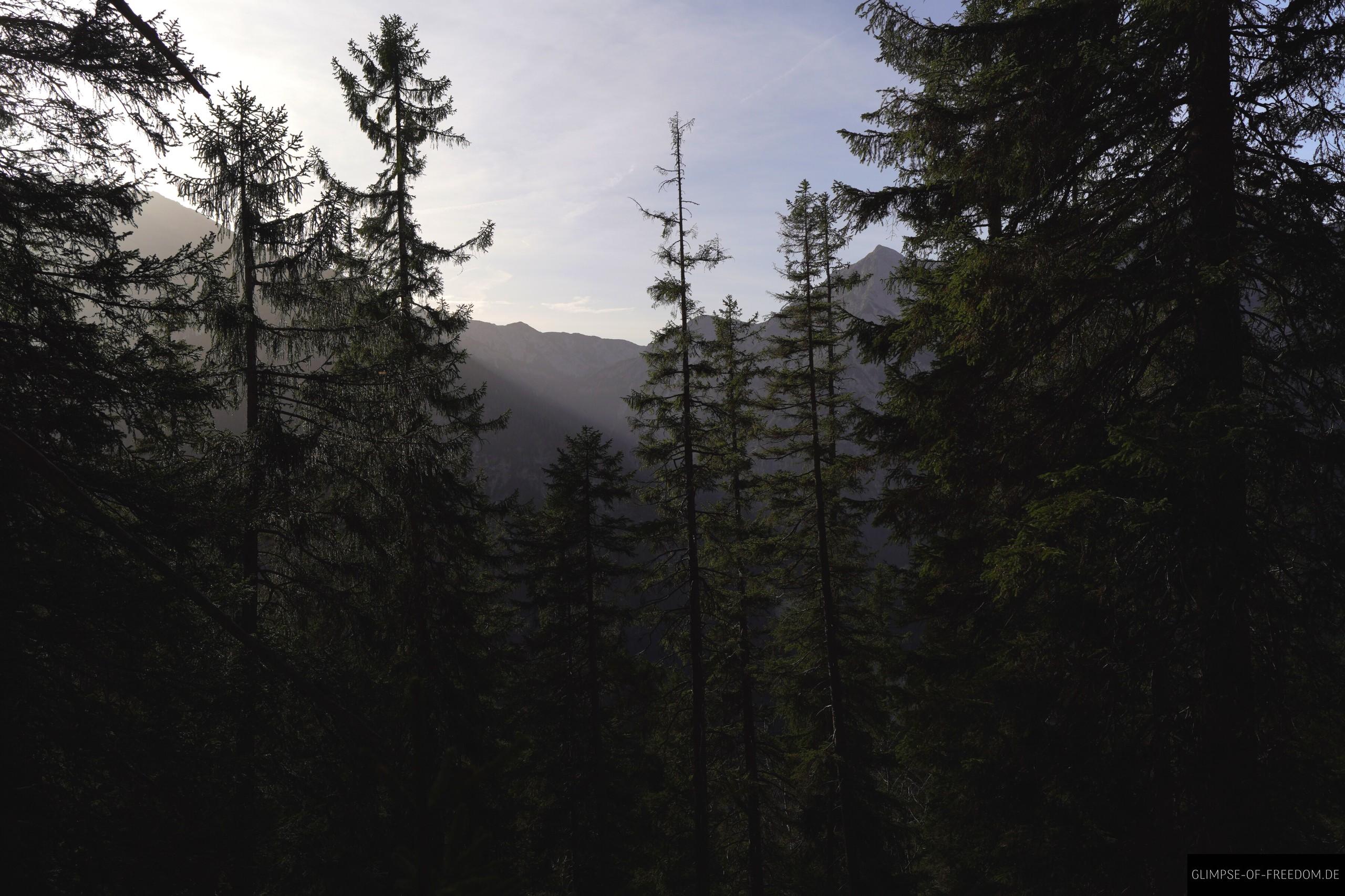 Morgendaemmerung an der Scheinbergspitze Morgendaemmerung an der Scheinbergspitze