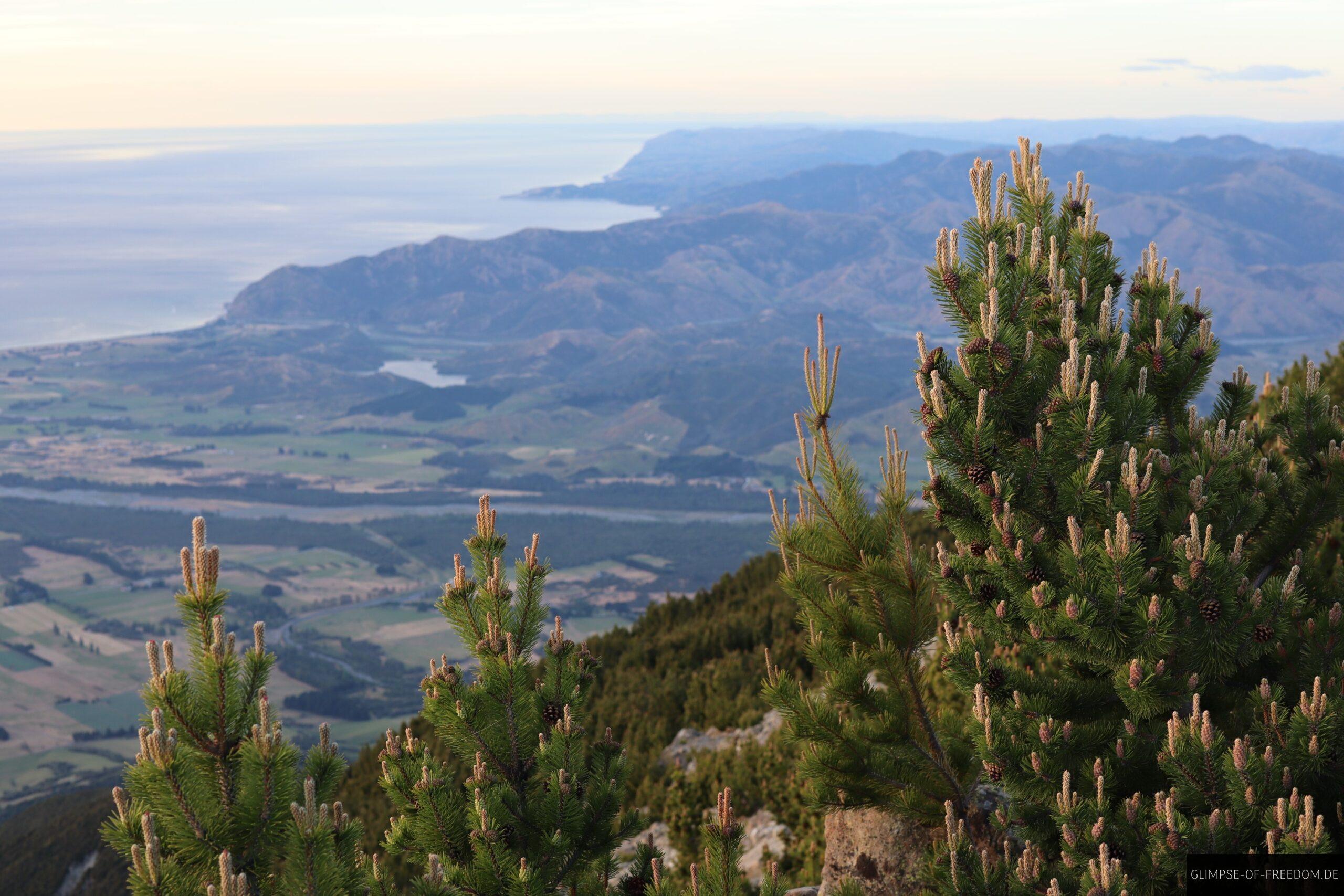 Mount Fyffe Landschaft scaled Mount Fyffe Landschaft