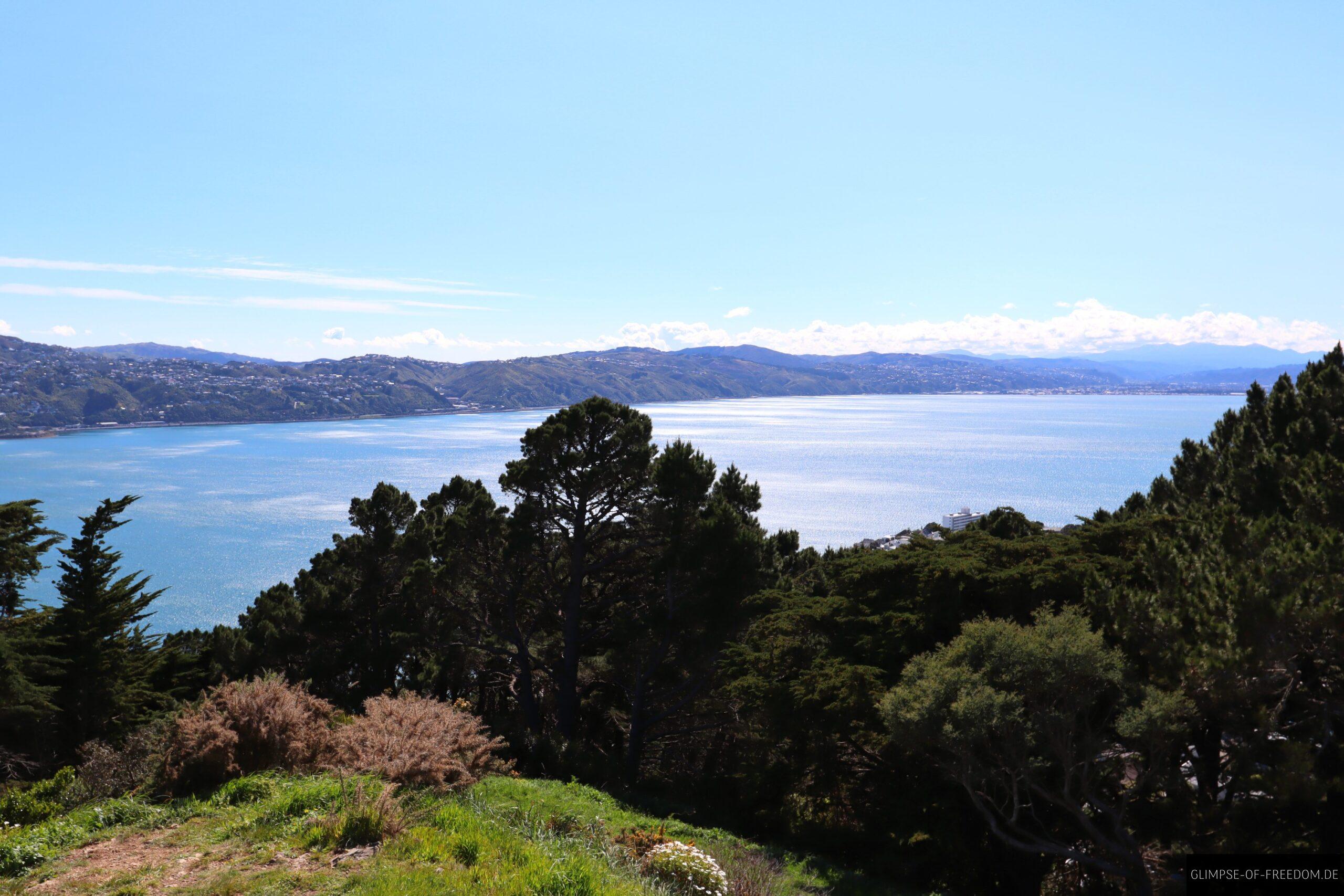 Mount Victoria Views scaled Mount Victoria Views