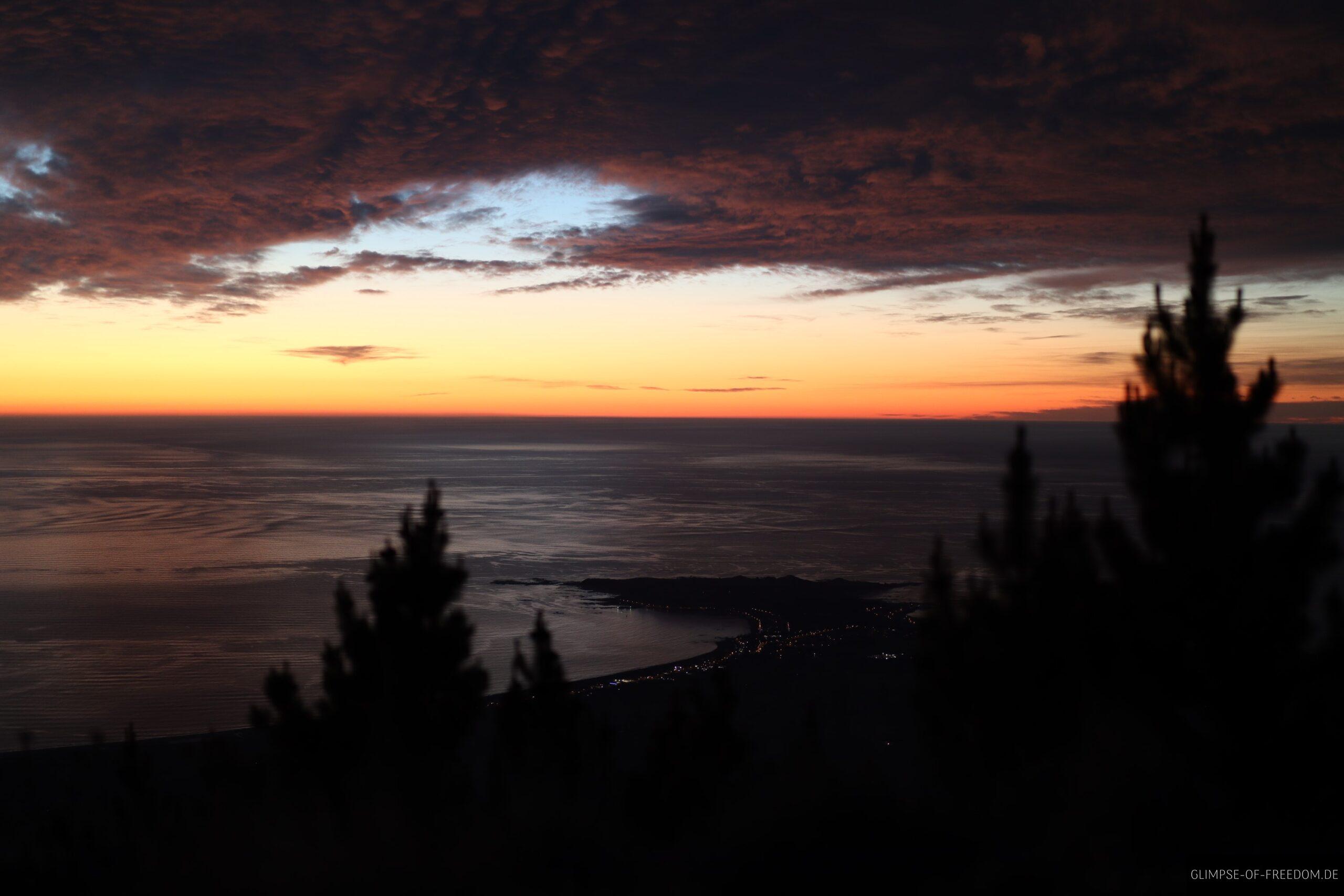 Nadelbaeume auf dem Mount Fyffe scaled Nadelbäume auf dem Mount Fyffe