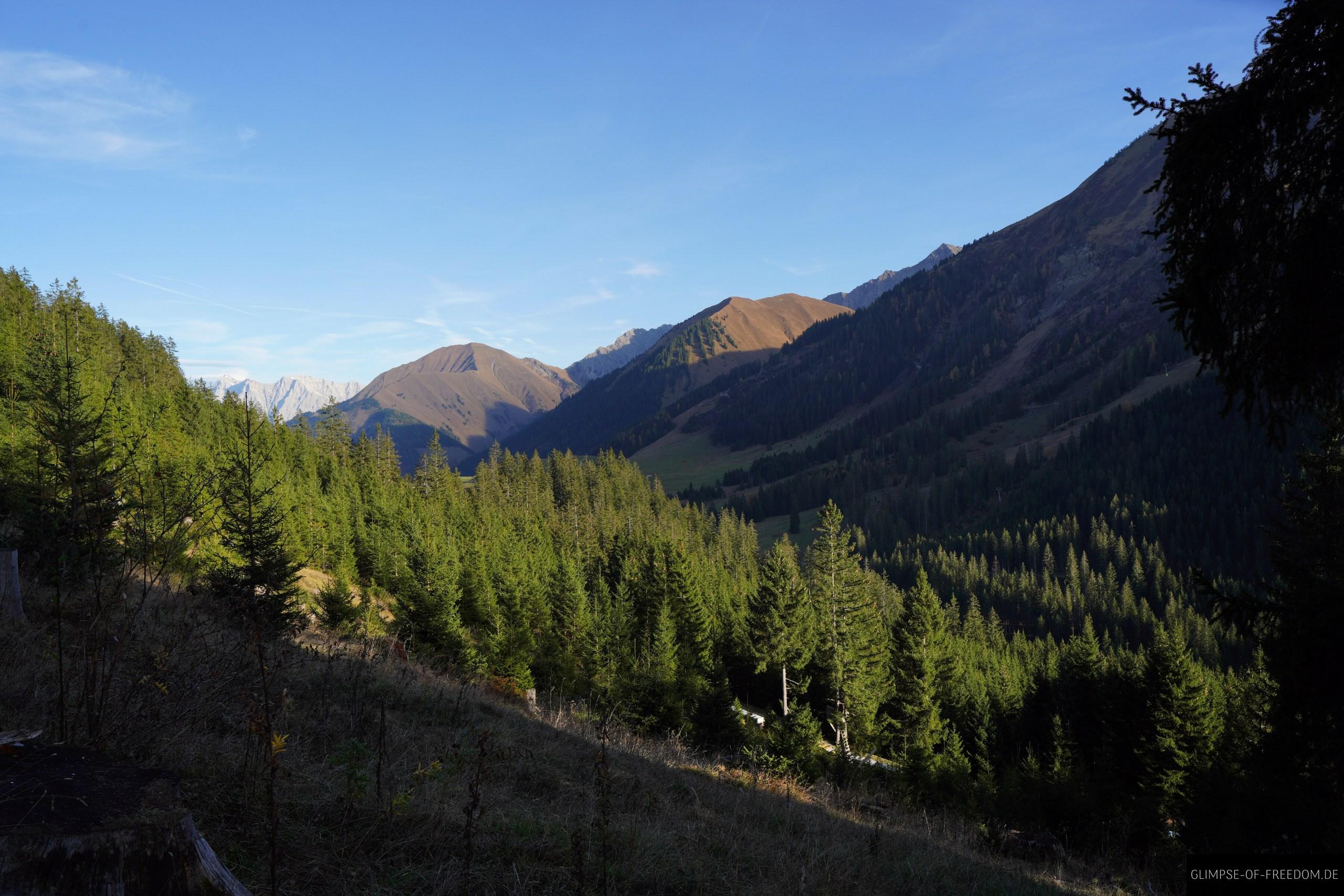 Nadelwald am Thaneller Nadelwald am Thaneller