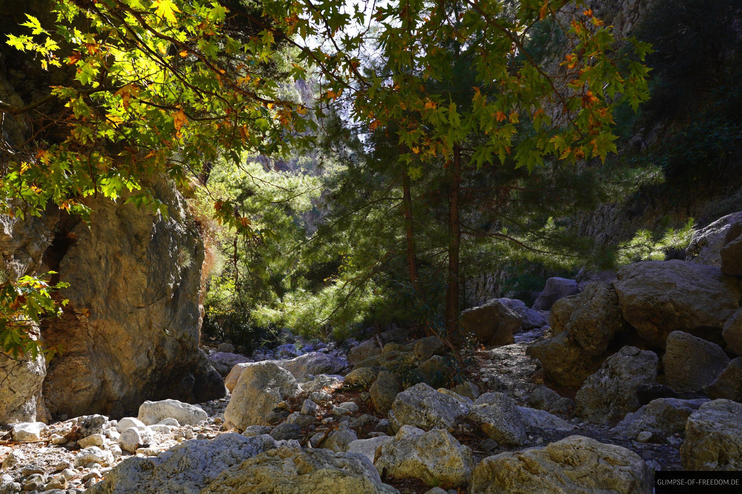 Natur mit beruhigender Wirkung scaled Natur mit beruhigender Wirkung