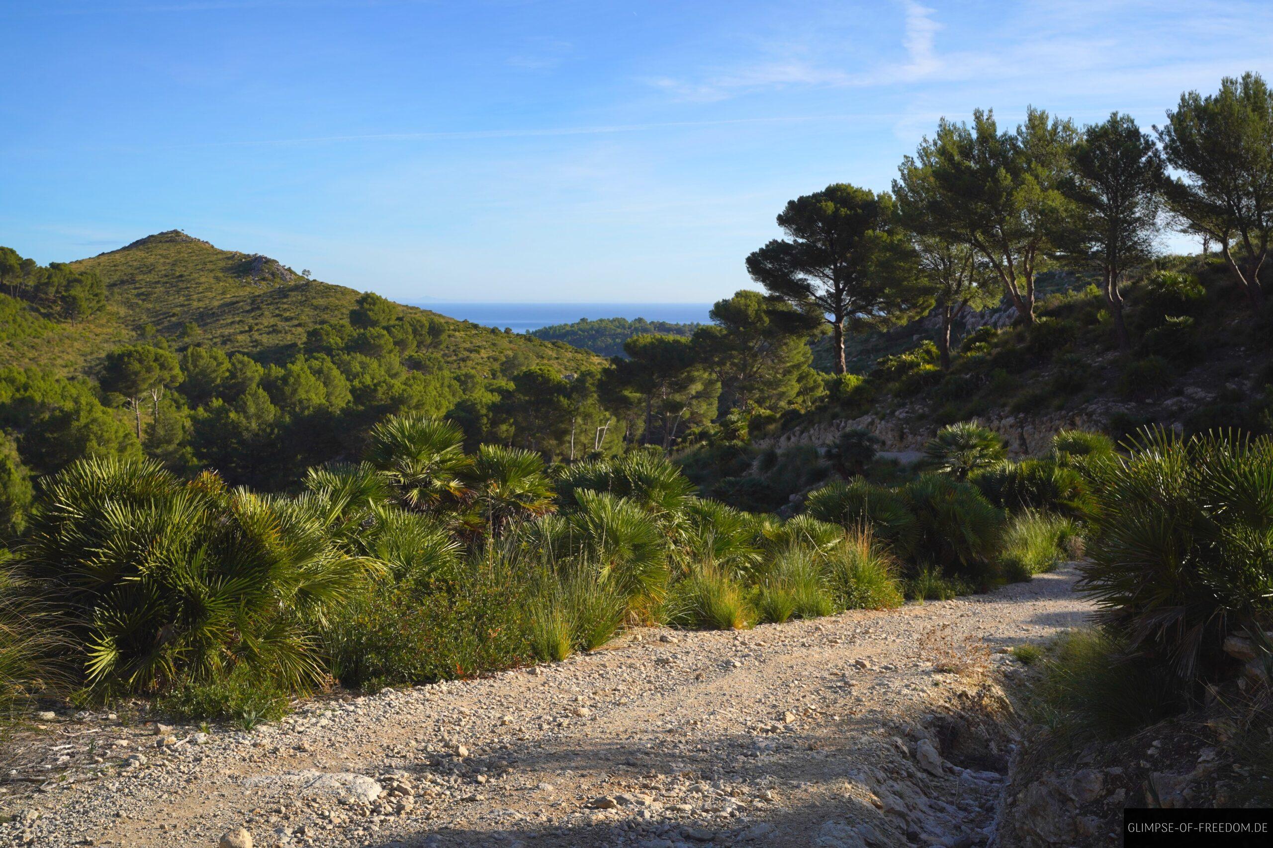 Naturpark Llevant Tour scaled Naturpark Llevant Tour