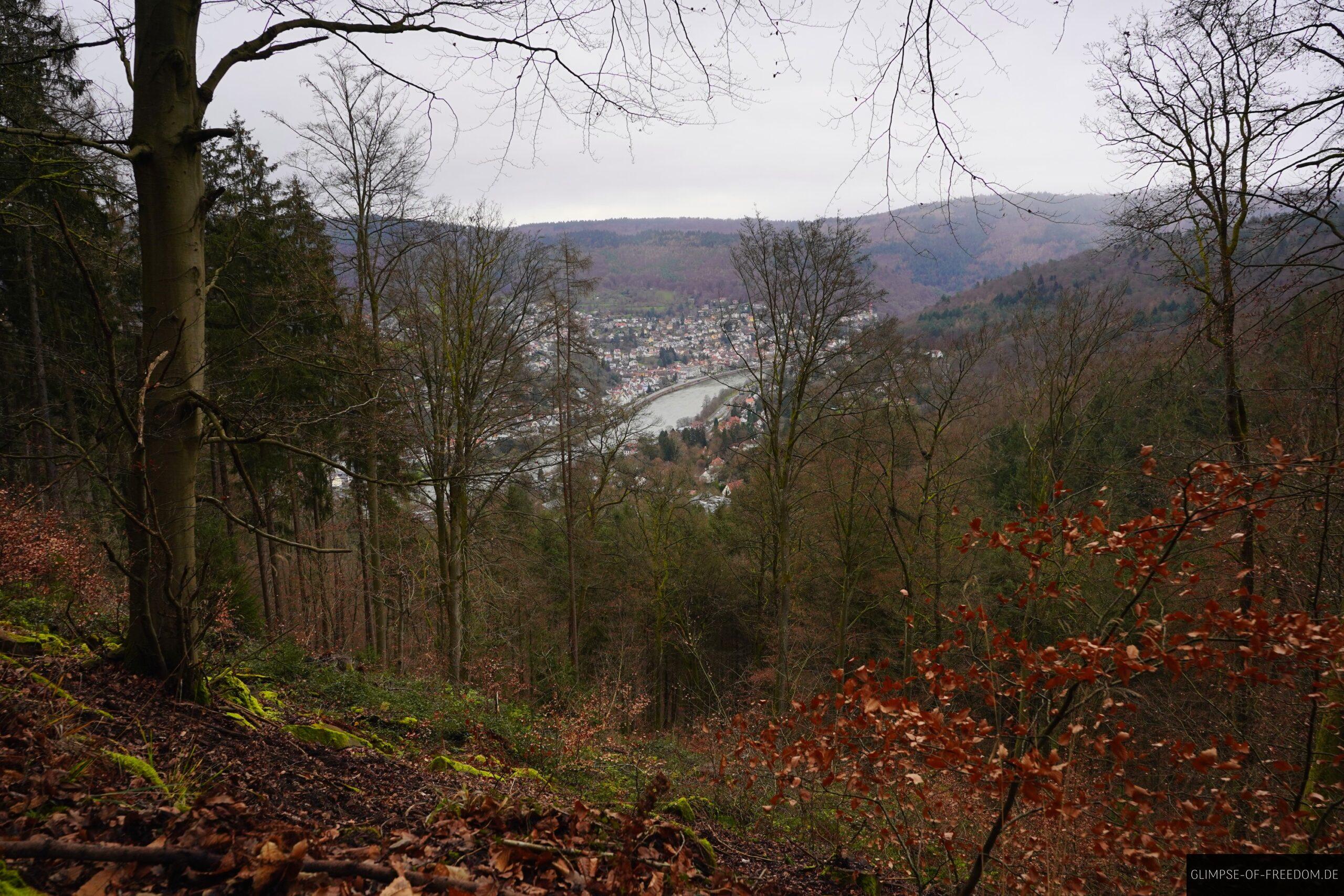 Neckerblick vom Koenigstuhl Rundwanderweg scaled Neckerblick vom Königstuhl Rundwanderweg