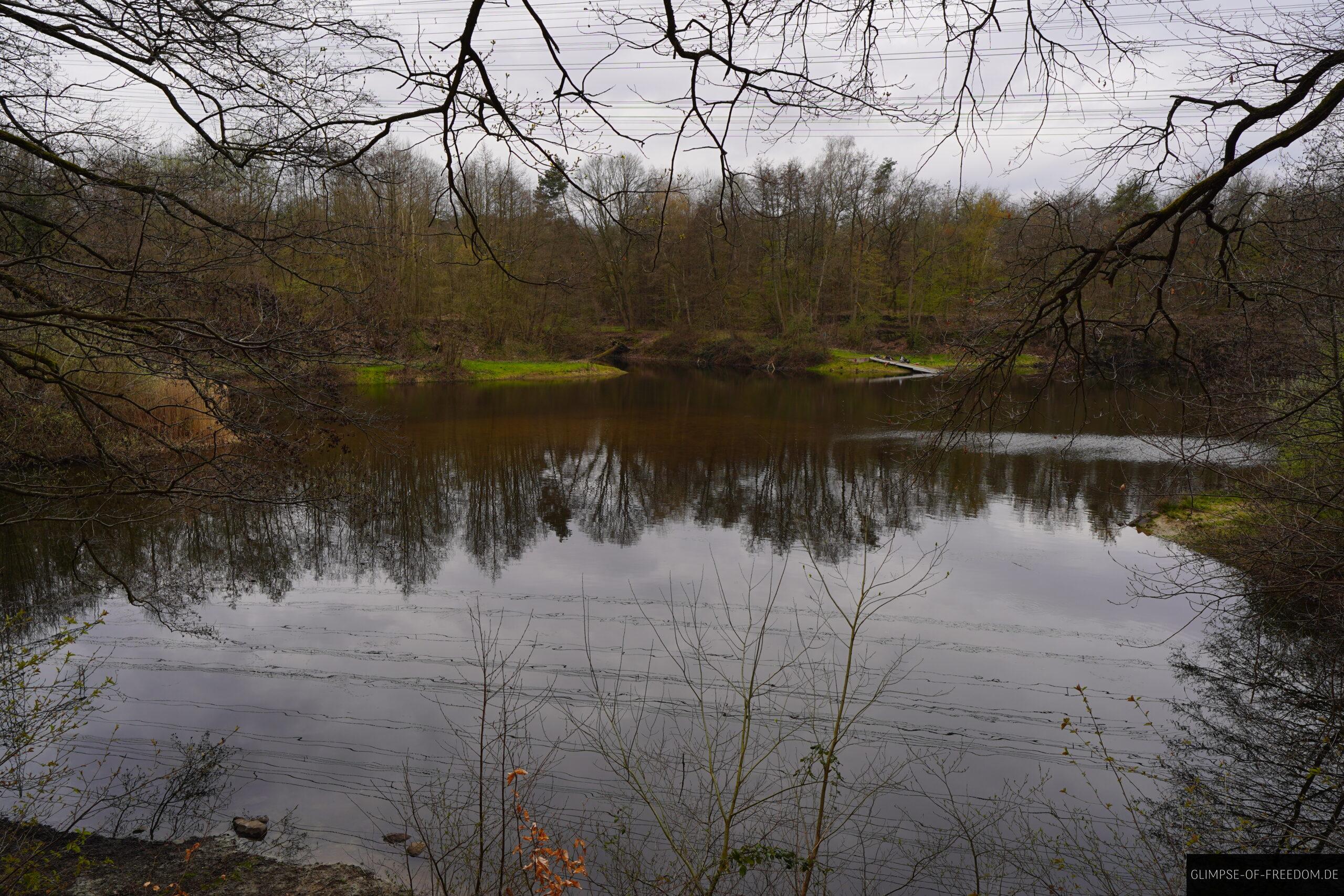 Oberwaldsee Vogelsberger See Rundwanderung scaled Oberwaldsee Vogelsberger See Rundwanderung