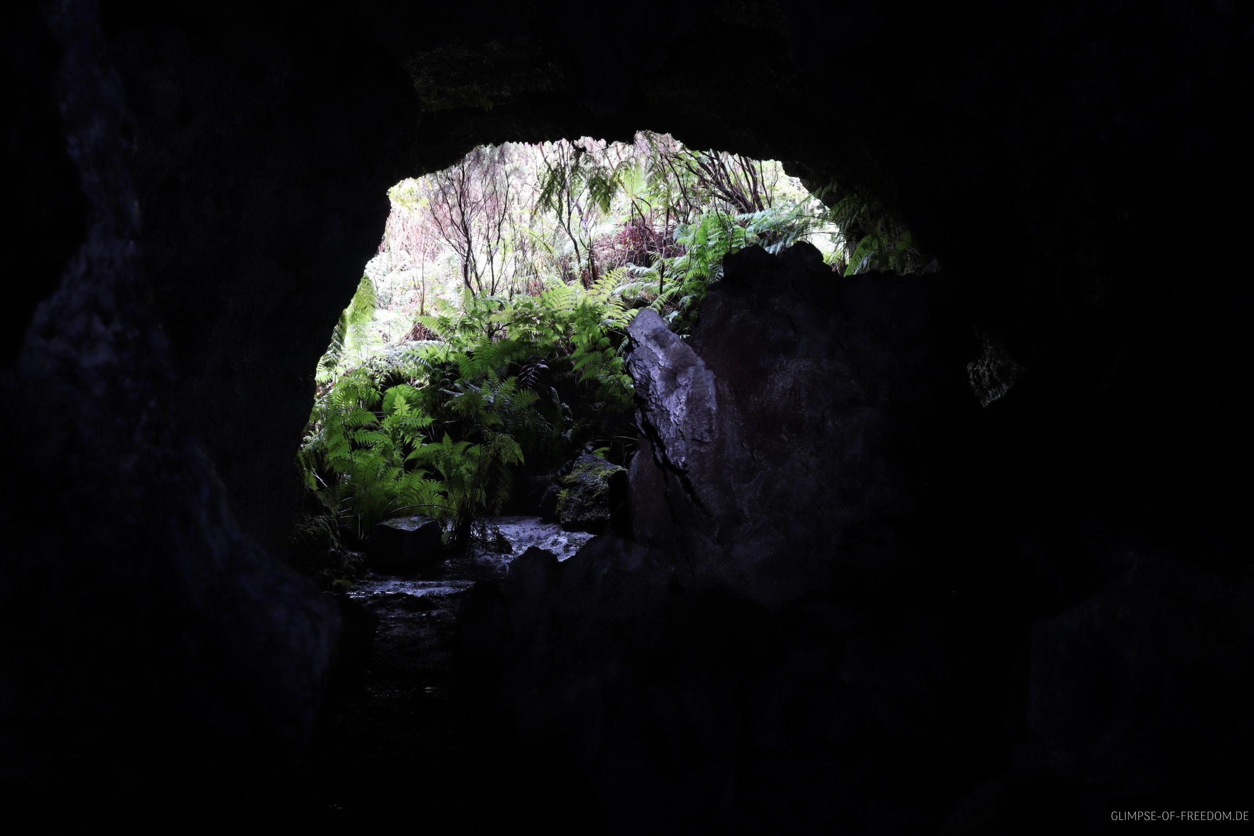 Oeffnung in der Hoehle Furna de Frei Matias scaled Öffnung in der Höhle Furna de Frei Matias