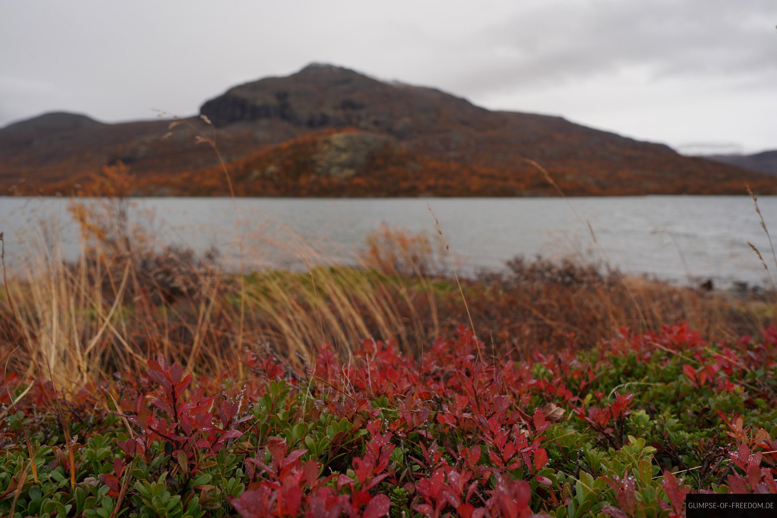 Ovre Sjodalsvatnet Ovre Sjodalsvatnet
