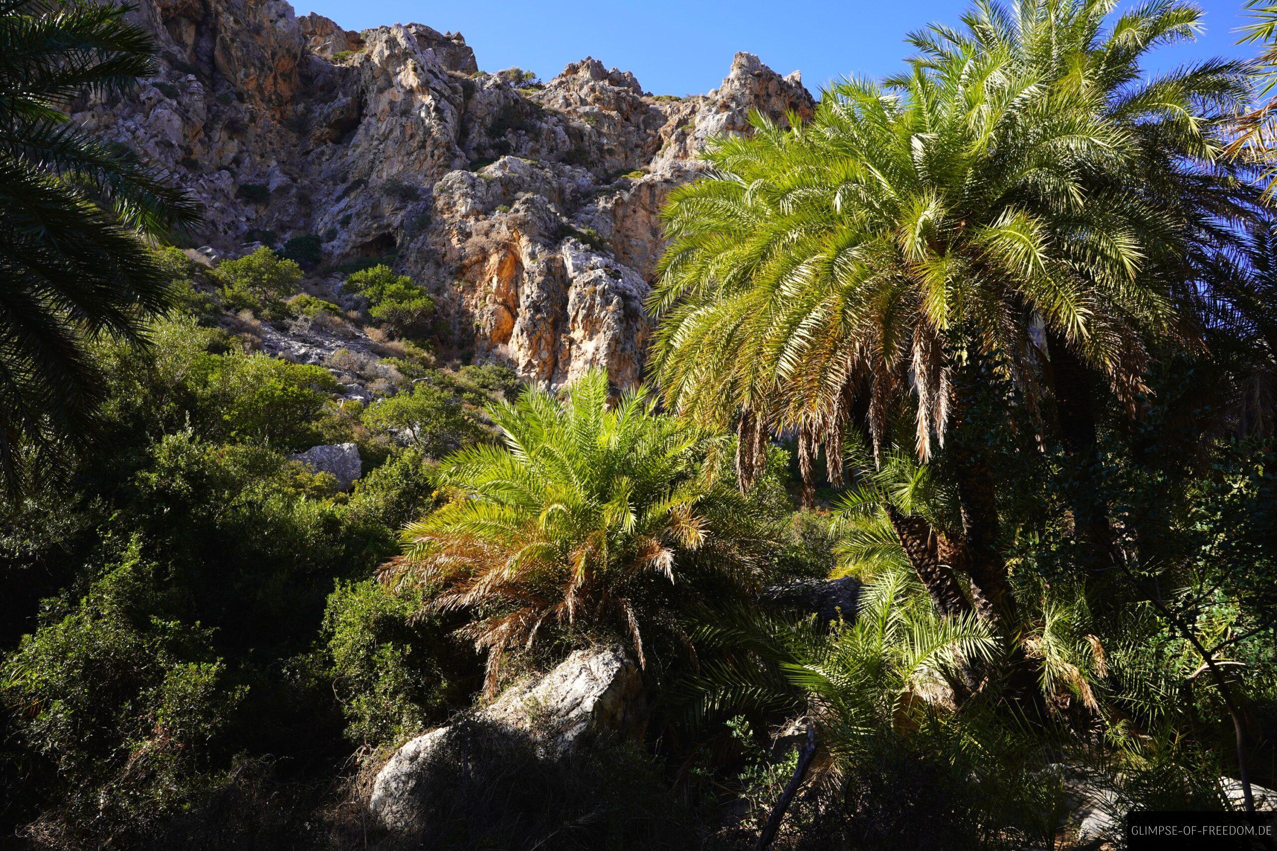 Palmenstrand inmitten der Schlucht scaled Palmenstrand inmitten der Schlucht