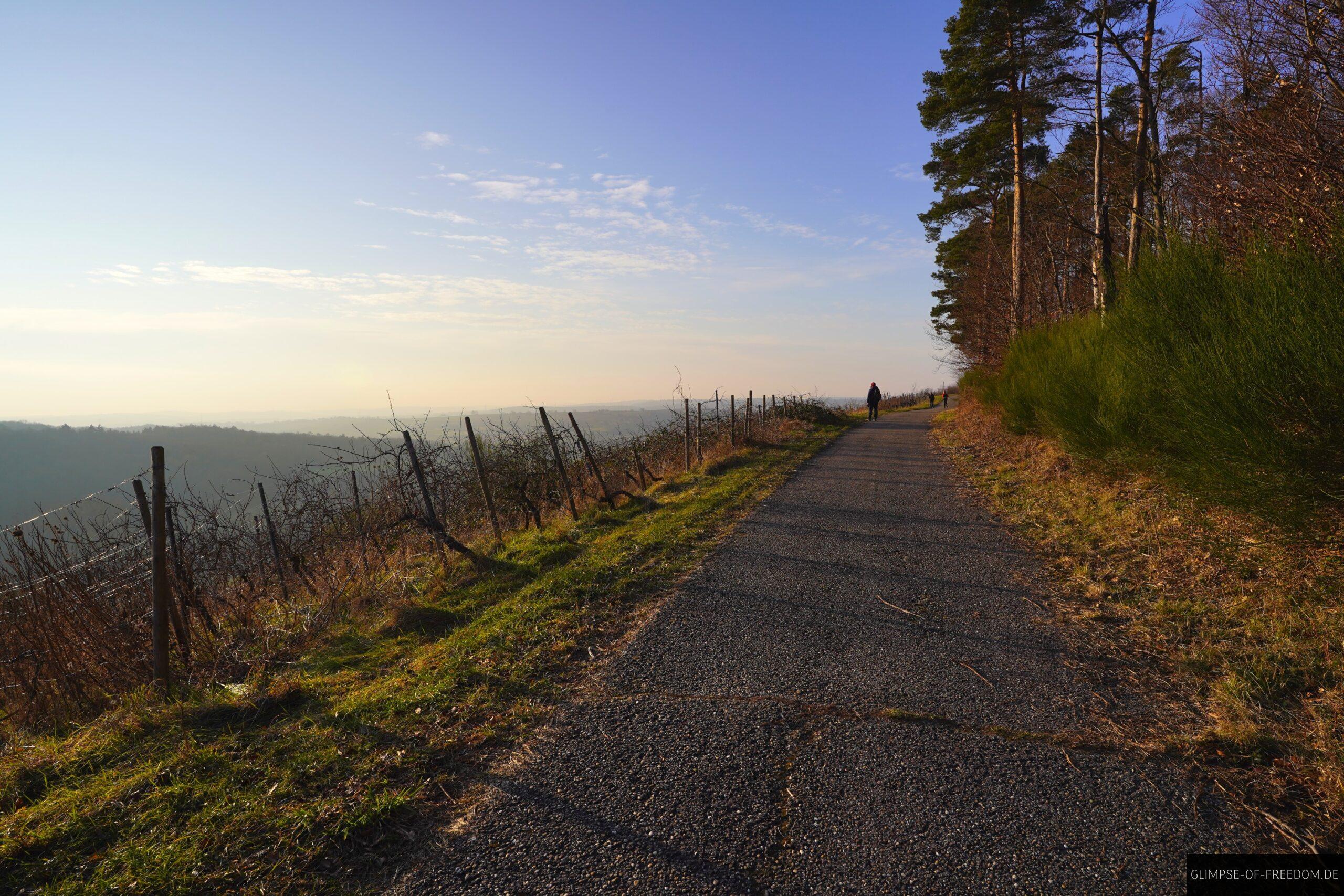Panoramawanderung OD2 am Derdinger Horn scaled Panoramawanderung OD2 am Derdinger Horn