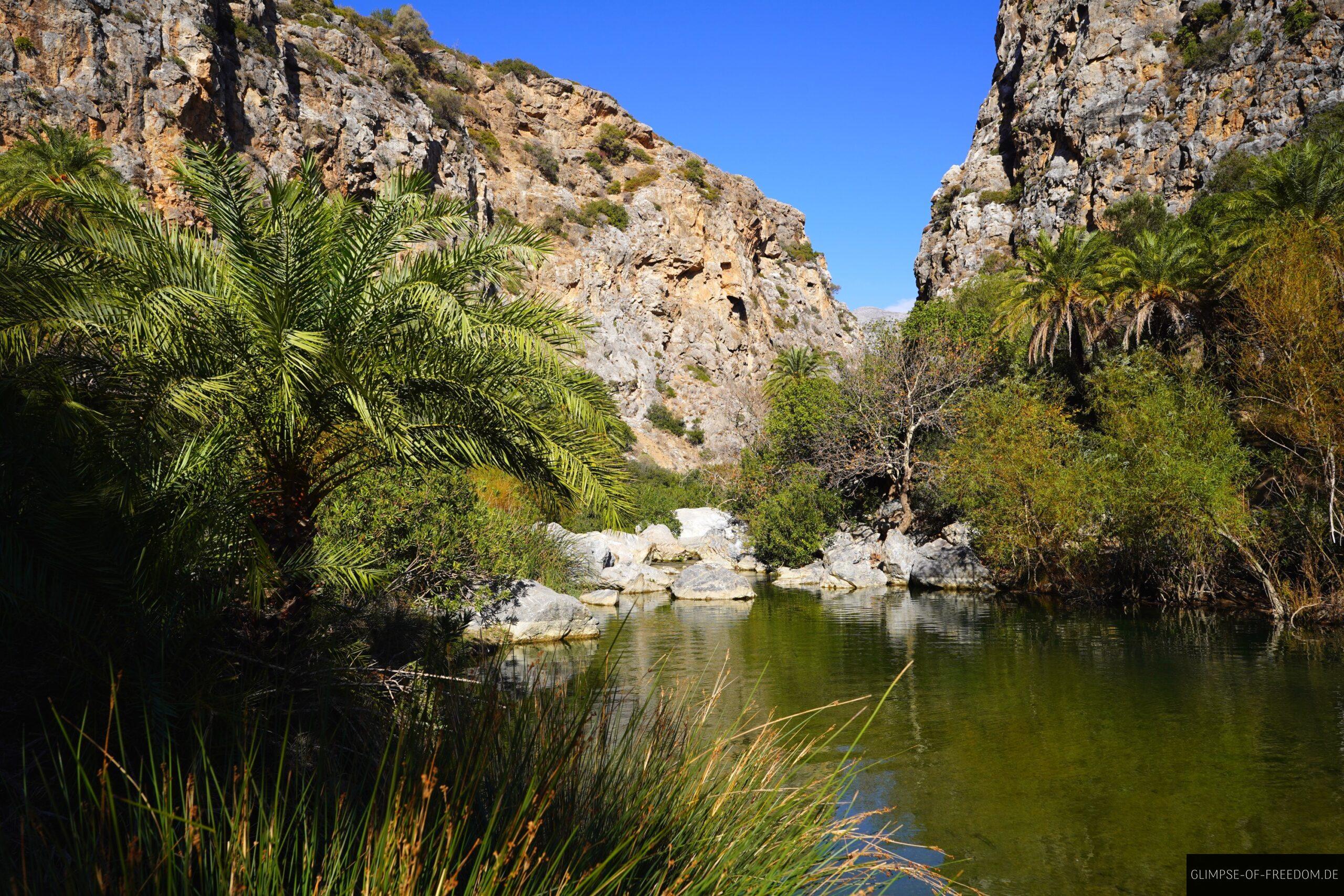 Paradiesische Oase am Palmenstrand Preveli scaled Paradiesische Oase am Palmenstrand Preveli