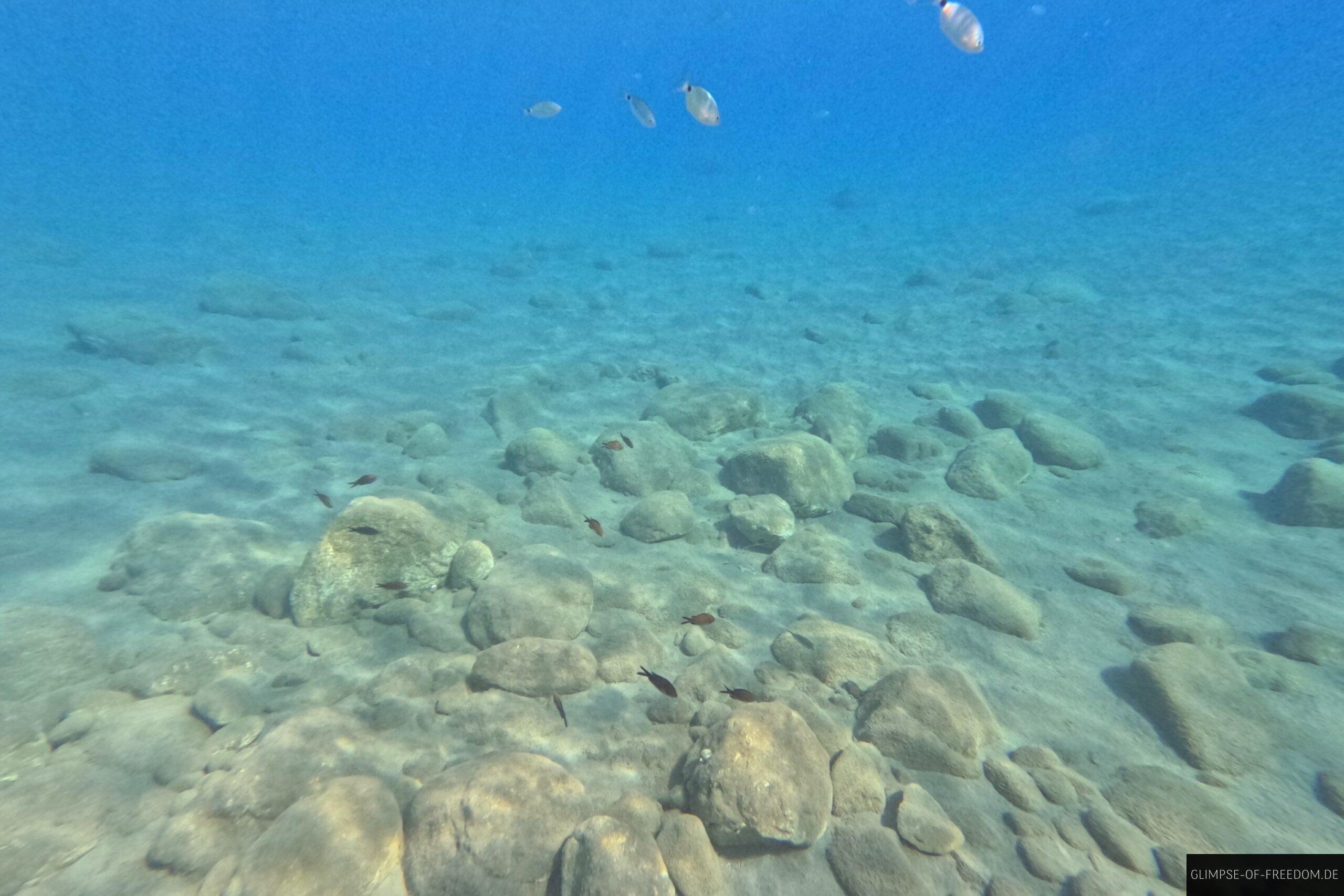 Paralia Tripiti Schnorcheln scaled Paralia Tripiti Schnorcheln