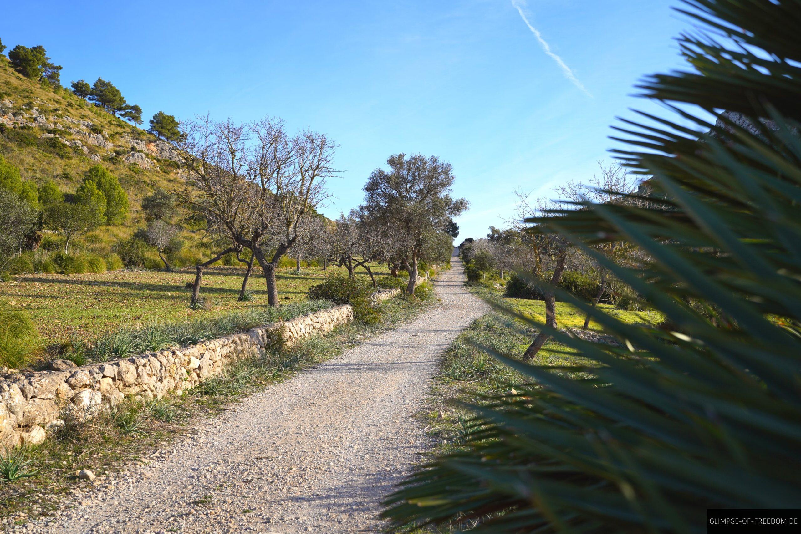 Parc Natural de la Peninsula de Llevant Wandern scaled Parc Natural de la Peninsula de Llevant Wandern