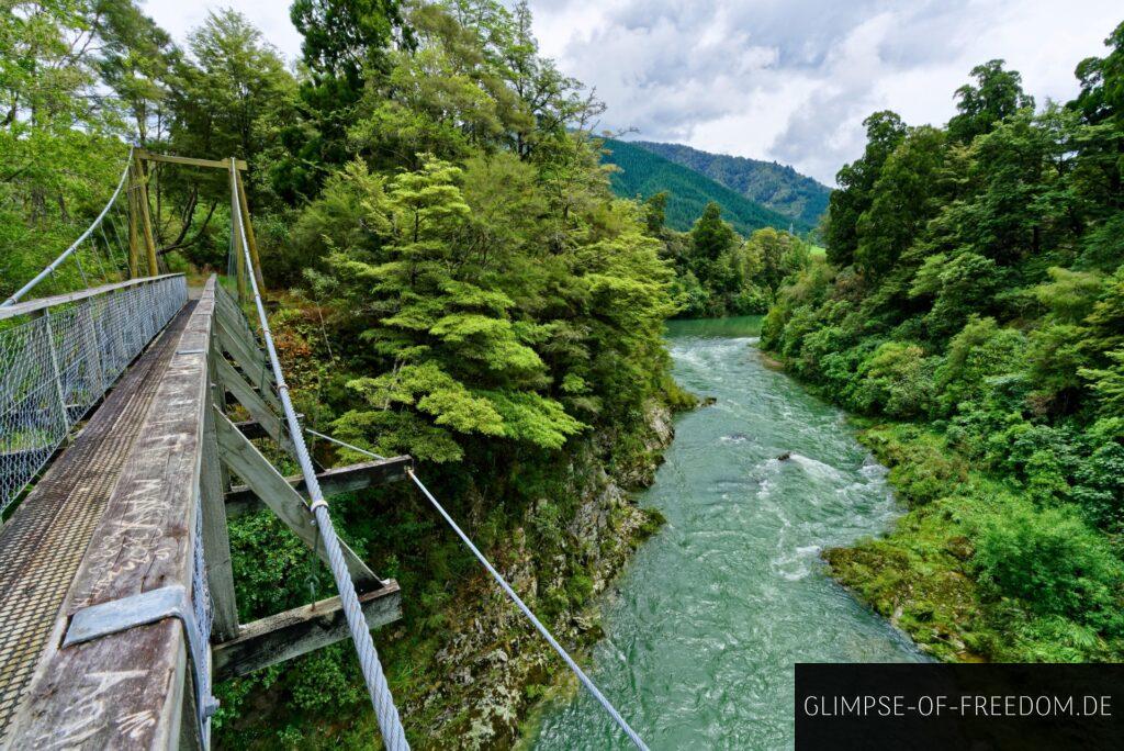 Pelorus Bridge Viewpoint