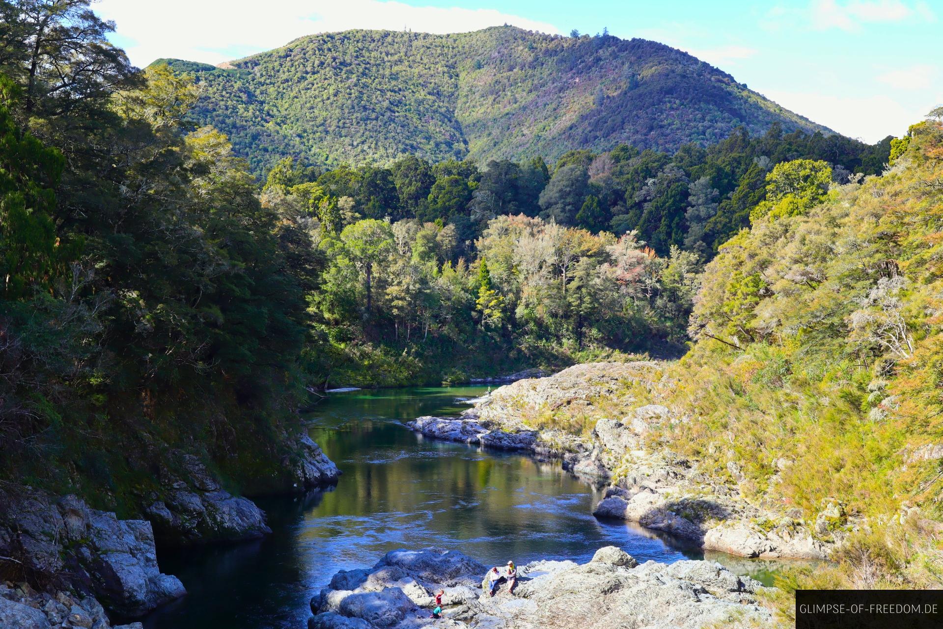 Pelorus River Neuseeland Pelorus River Neuseeland