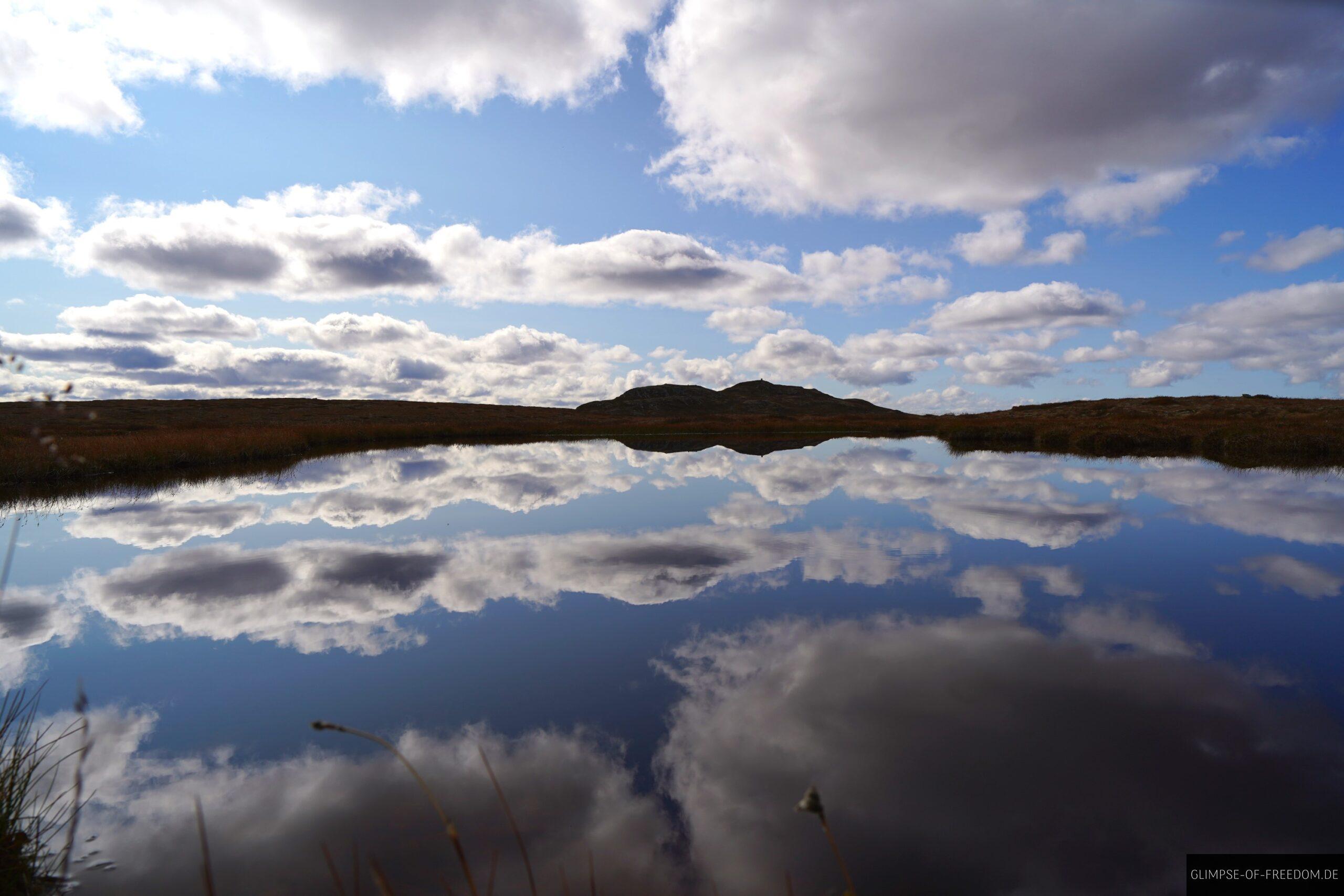 Perfekte Spiegelungen im See scaled Perfekte Spiegelungen im See